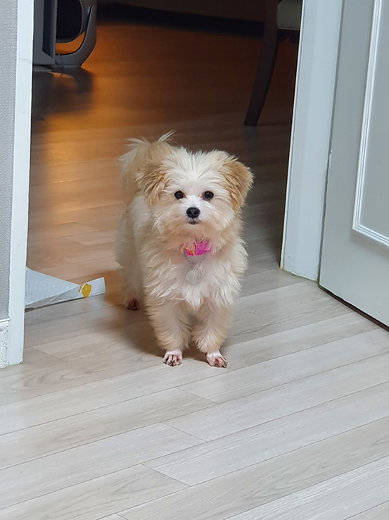 산쵸(구 오유) 입양 후 일주일 차입니다~!