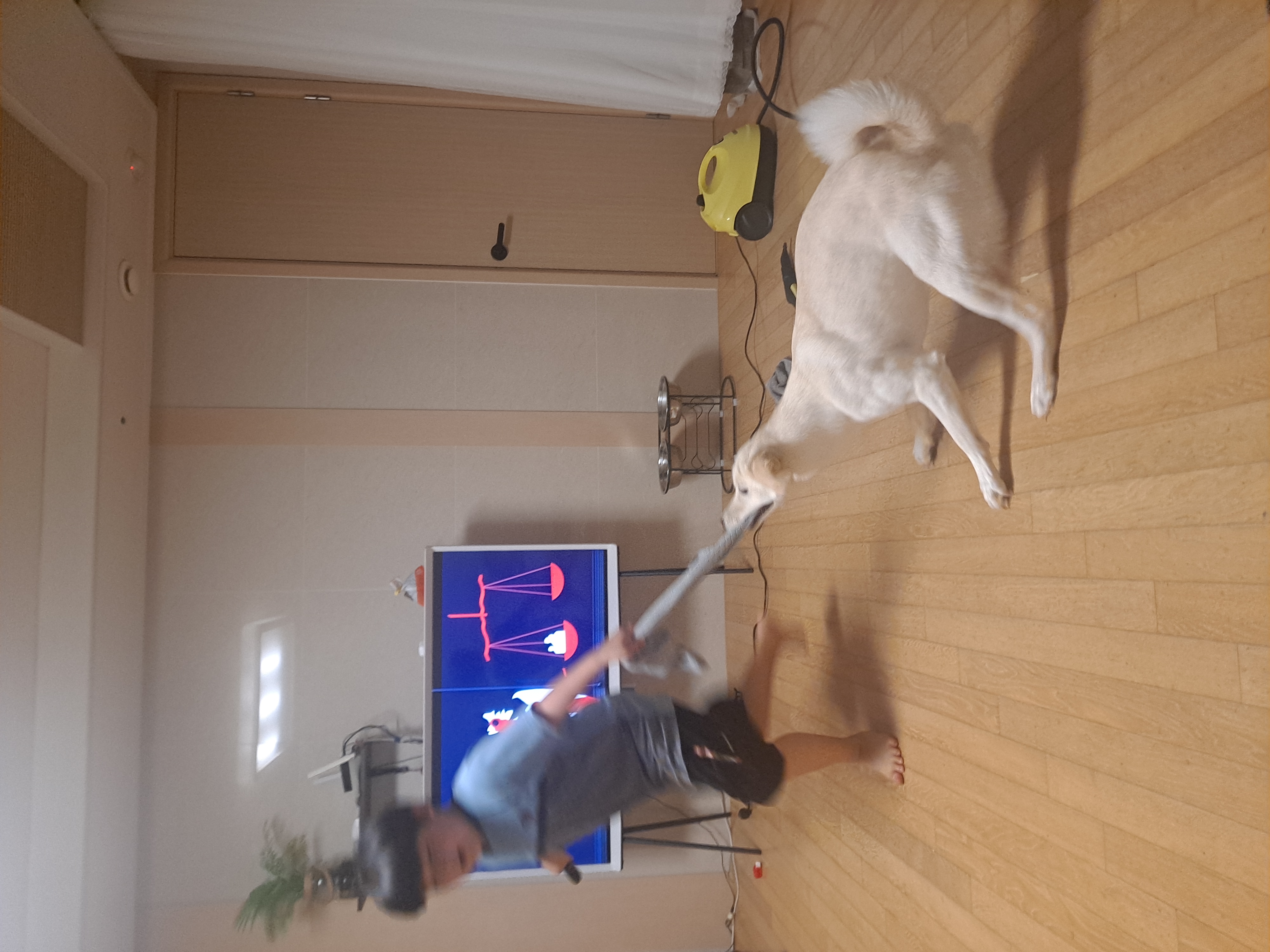 우리 귀요미 하양이 잘지내고 있어요~~^^