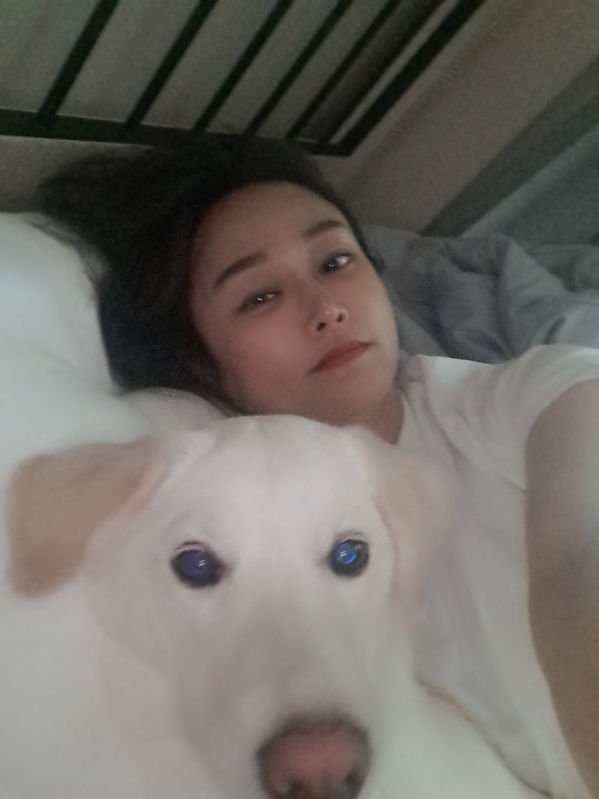 우리 귀요미 하양이 잘지내고 있어요~~^^