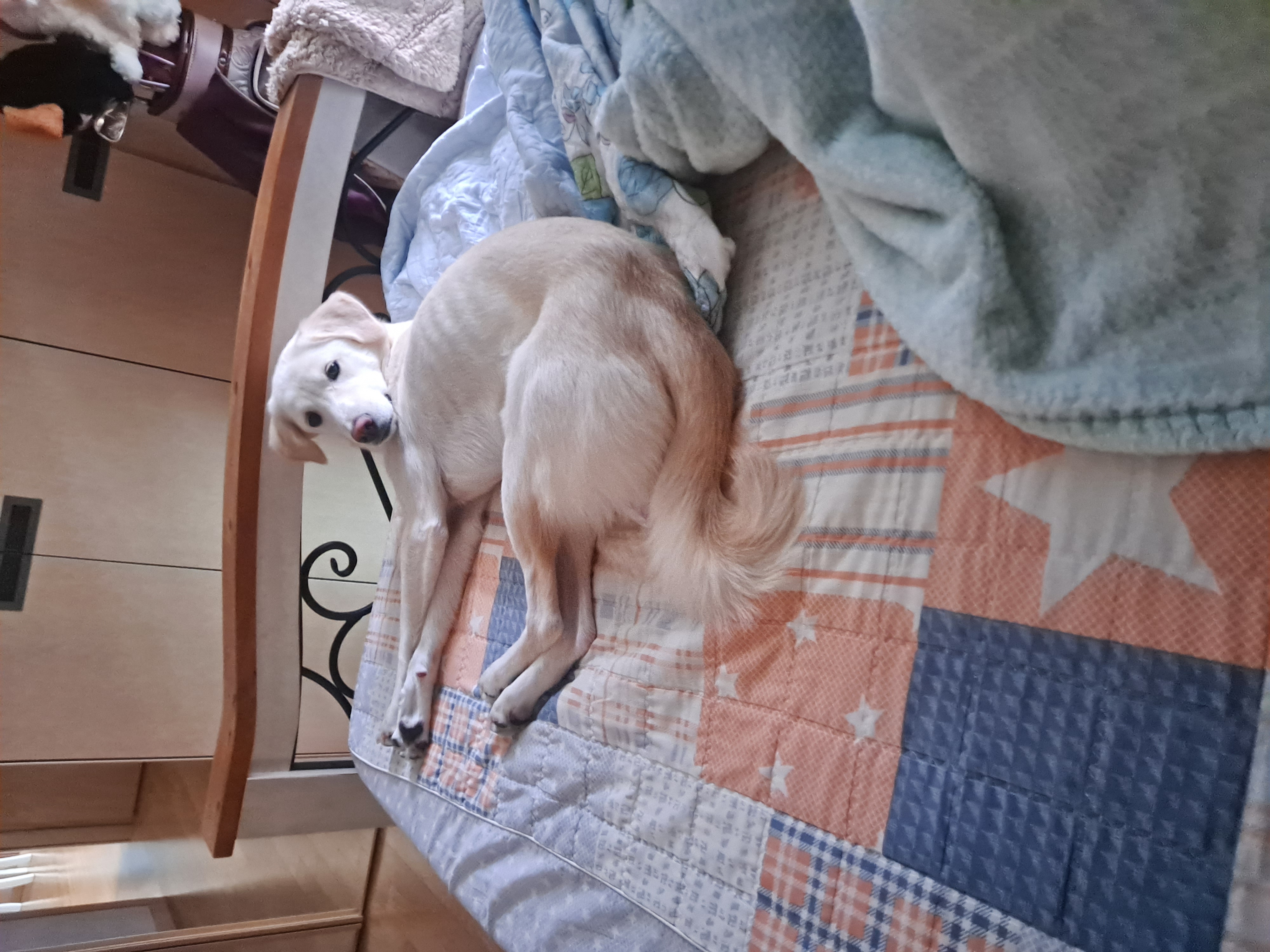 우리 귀요미 하양이 잘지내고 있어요~~^^