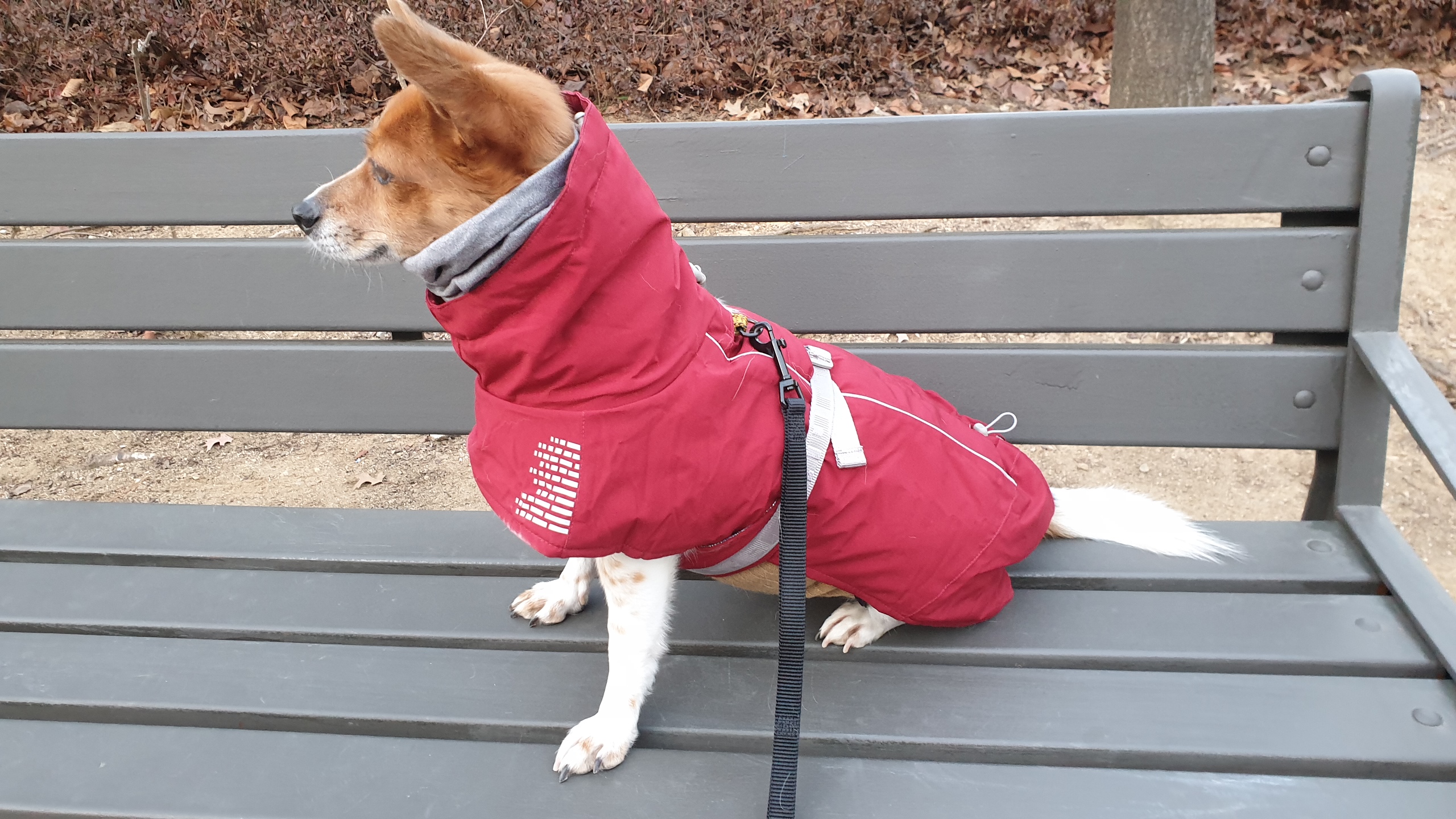 하이가 온지 만 5년 입니다^^