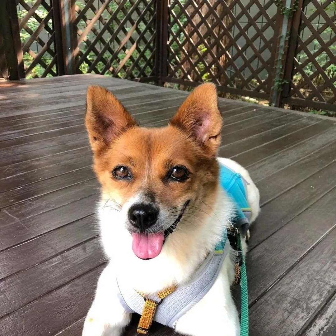 하이가 온지 만 5년 입니다^^