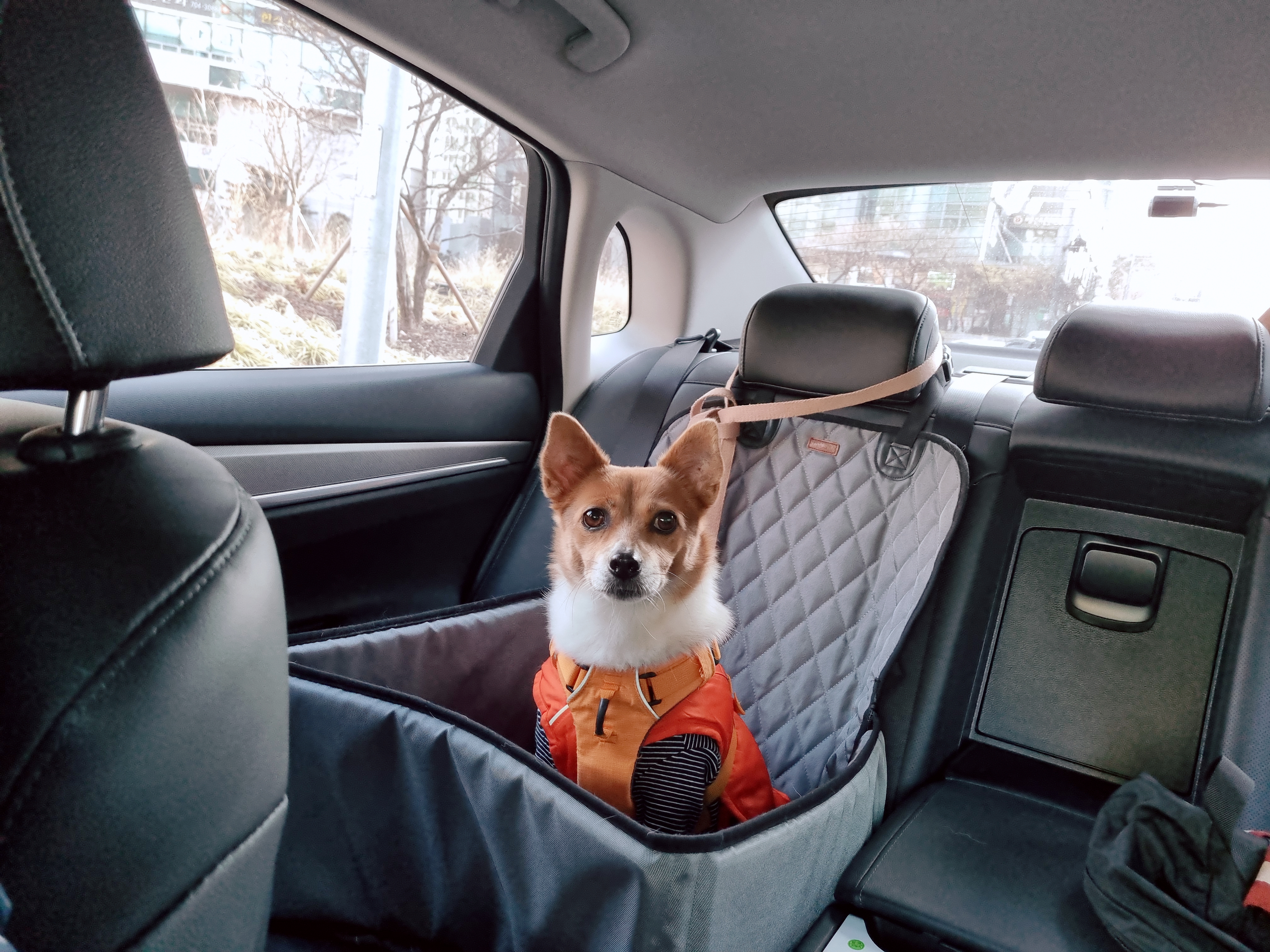 하이가 온지 만 5년 입니다^^