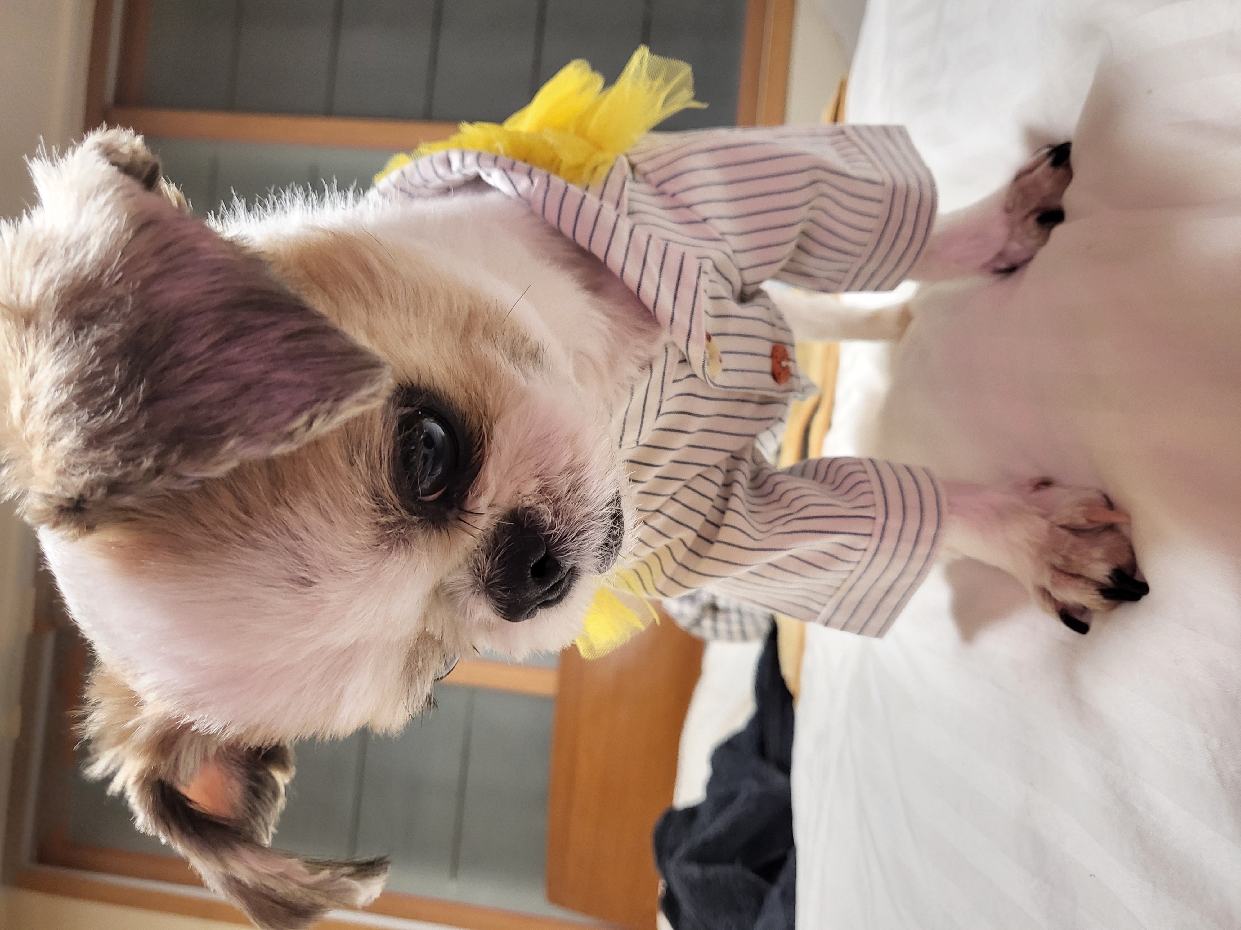 엄생글 (구, 생글이)인사드려요^^