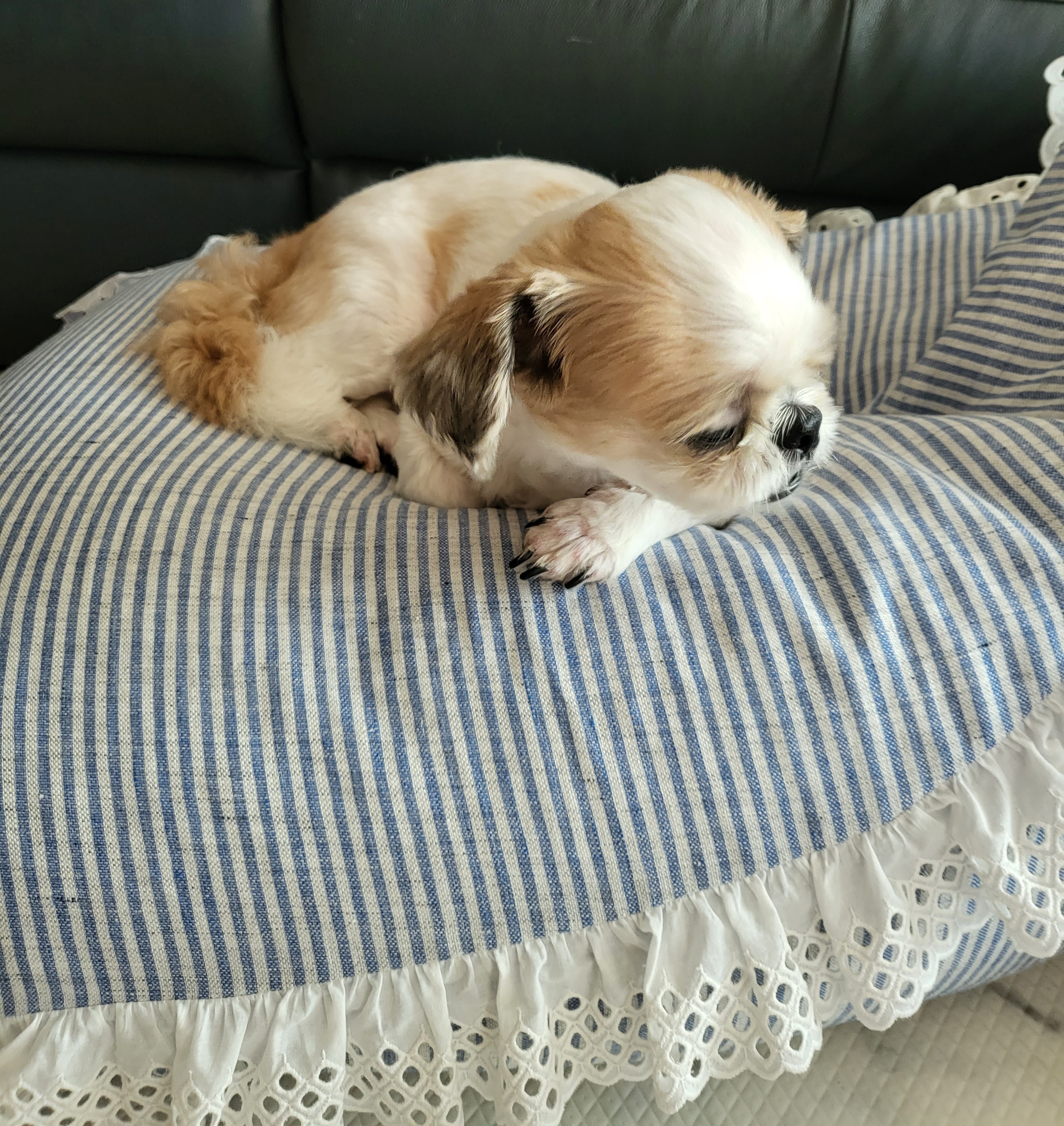 엄생글 (구, 생글이)인사드려요^^