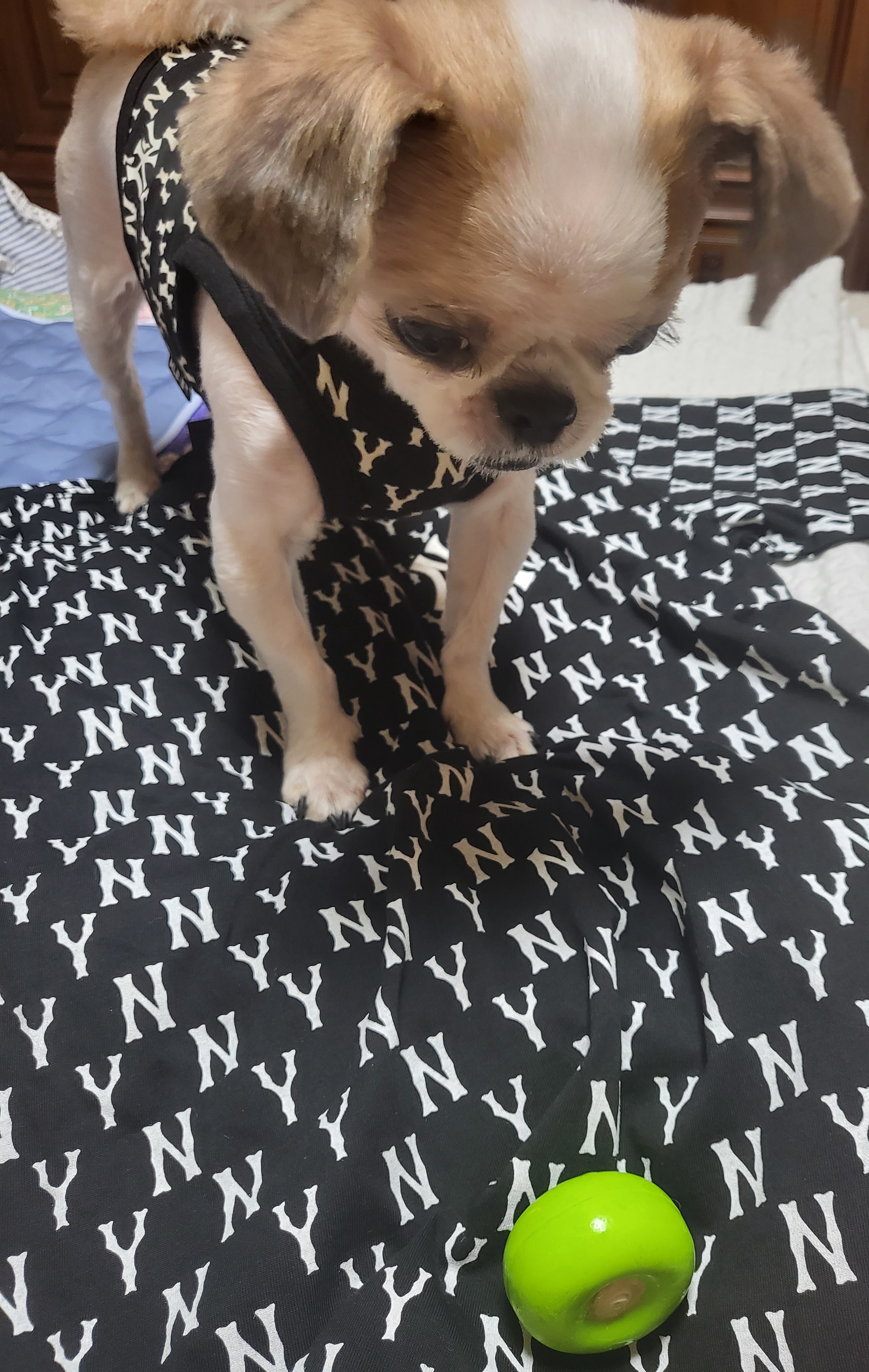 엄생글 (구, 생글이)인사드려요^^