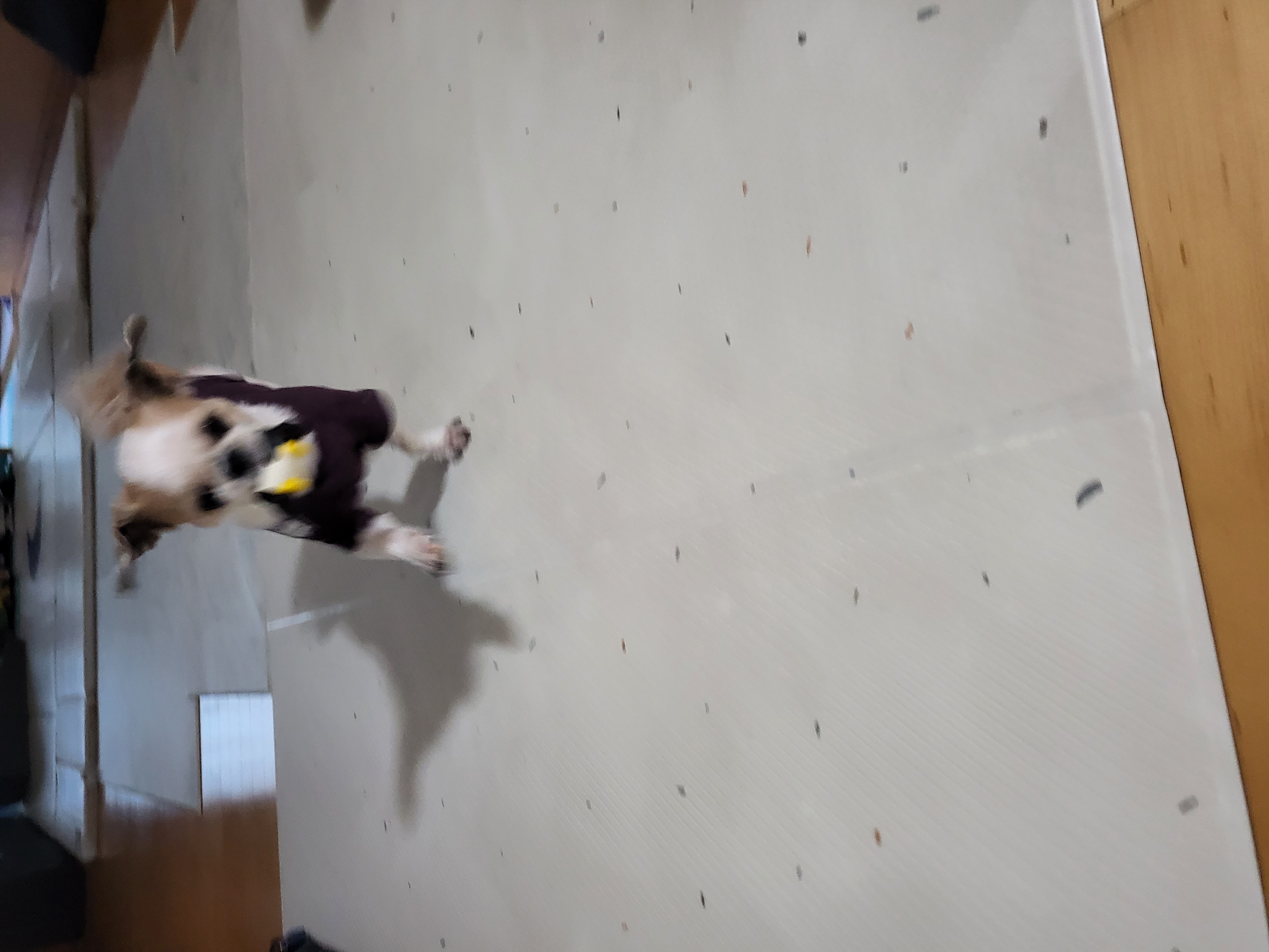 엄생글 (구, 생글이)인사드려요^^