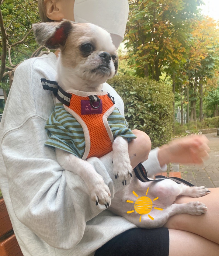 엄생글 (구, 생글이)인사드려요^^