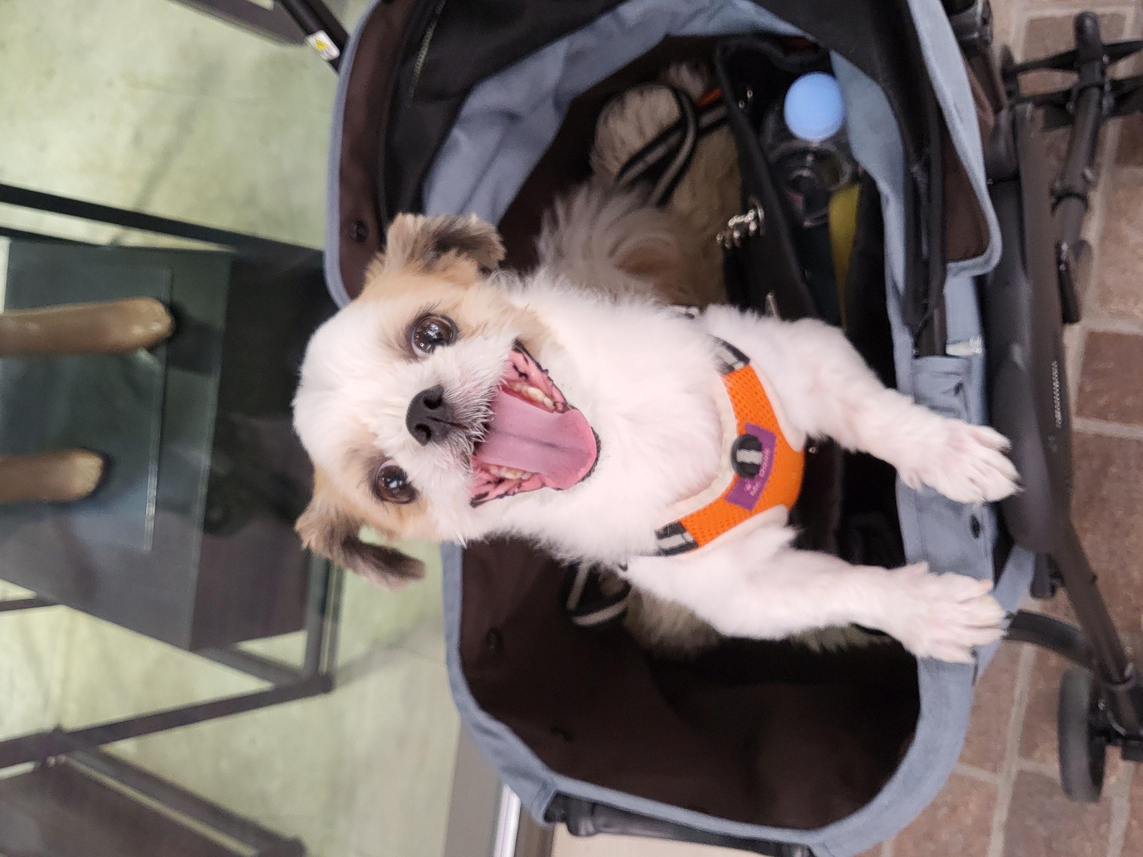 엄생글 (구, 생글이)인사드려요^^