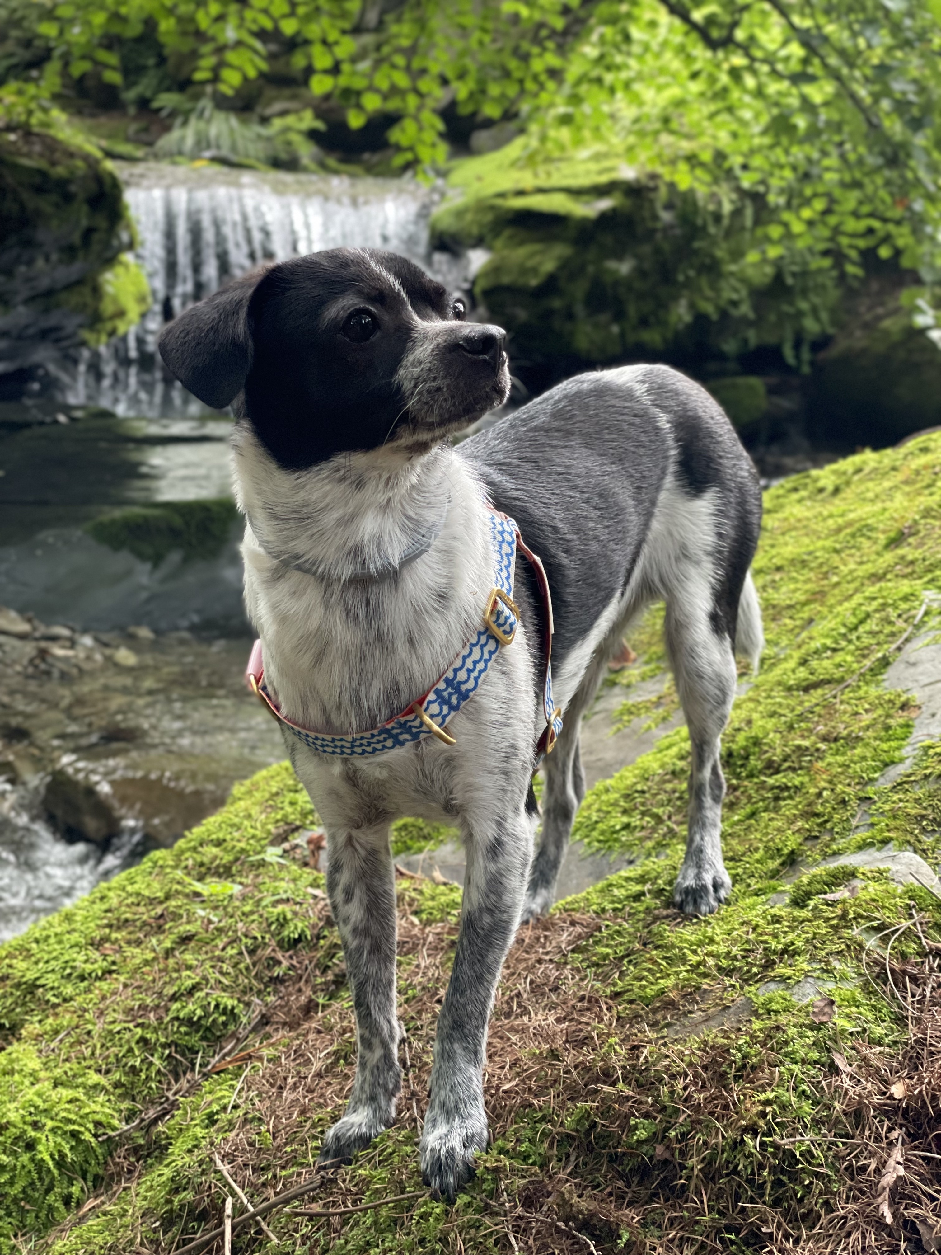 다림(다니) 1주년