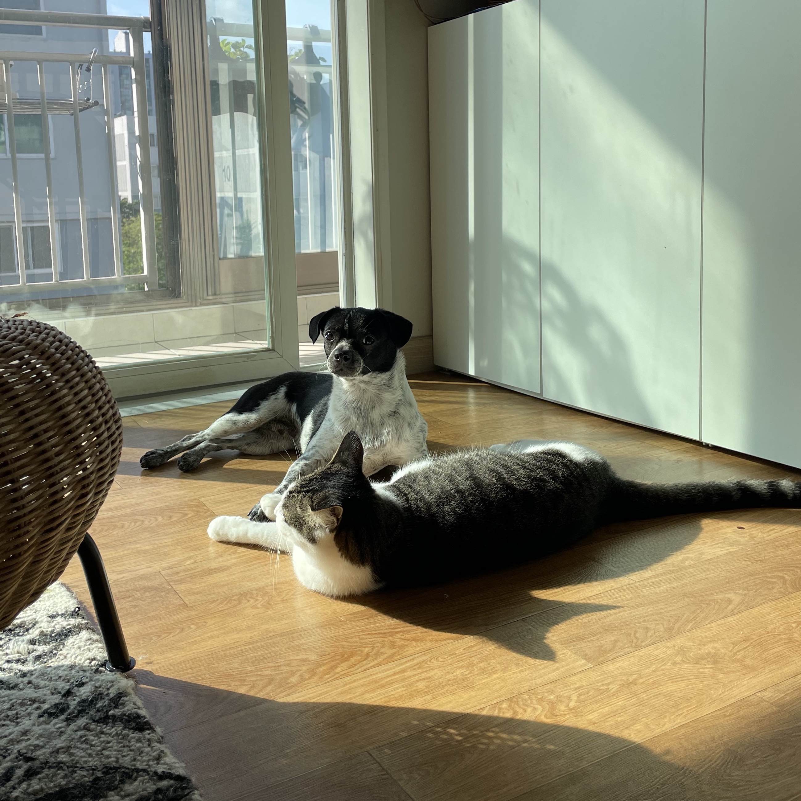 다림(다니) 1주년