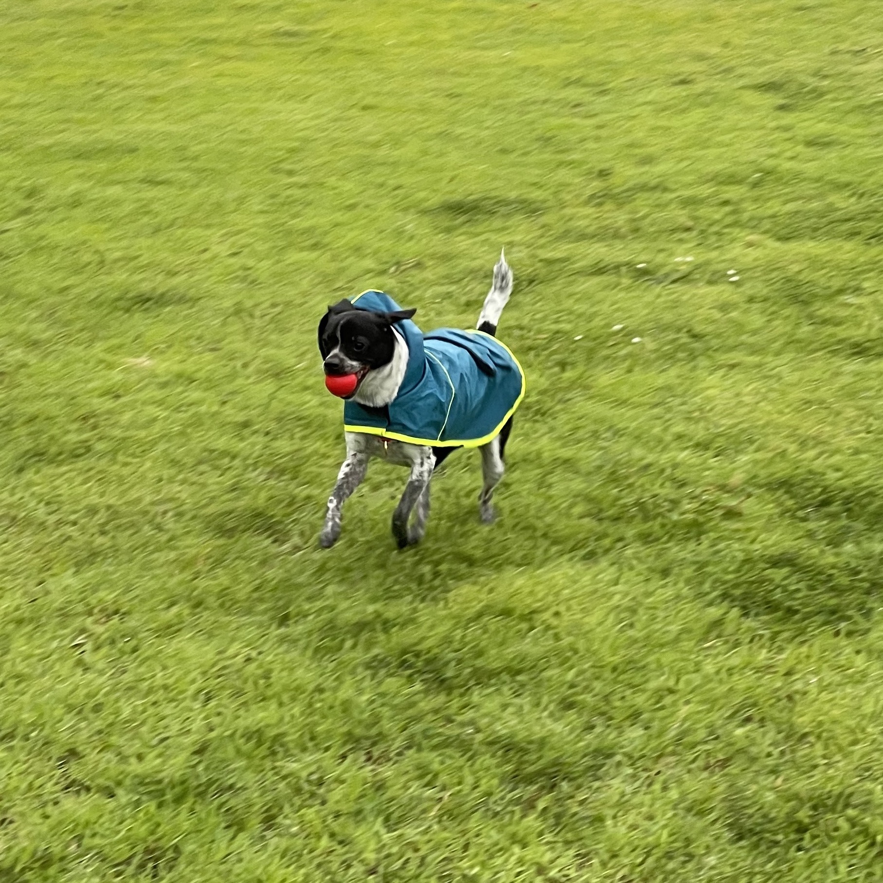 다림(다니) 1주년