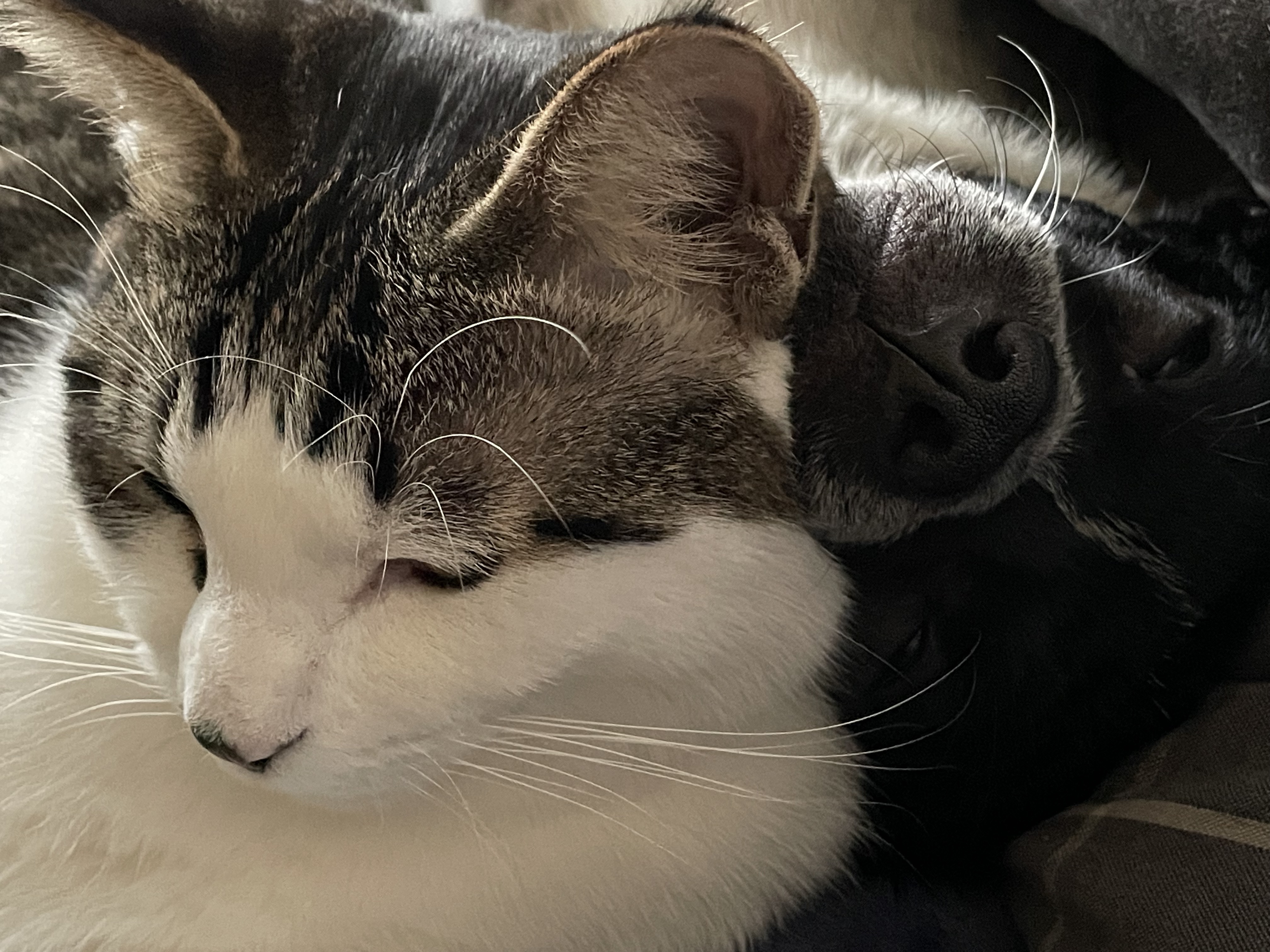 다림(다니) 1주년