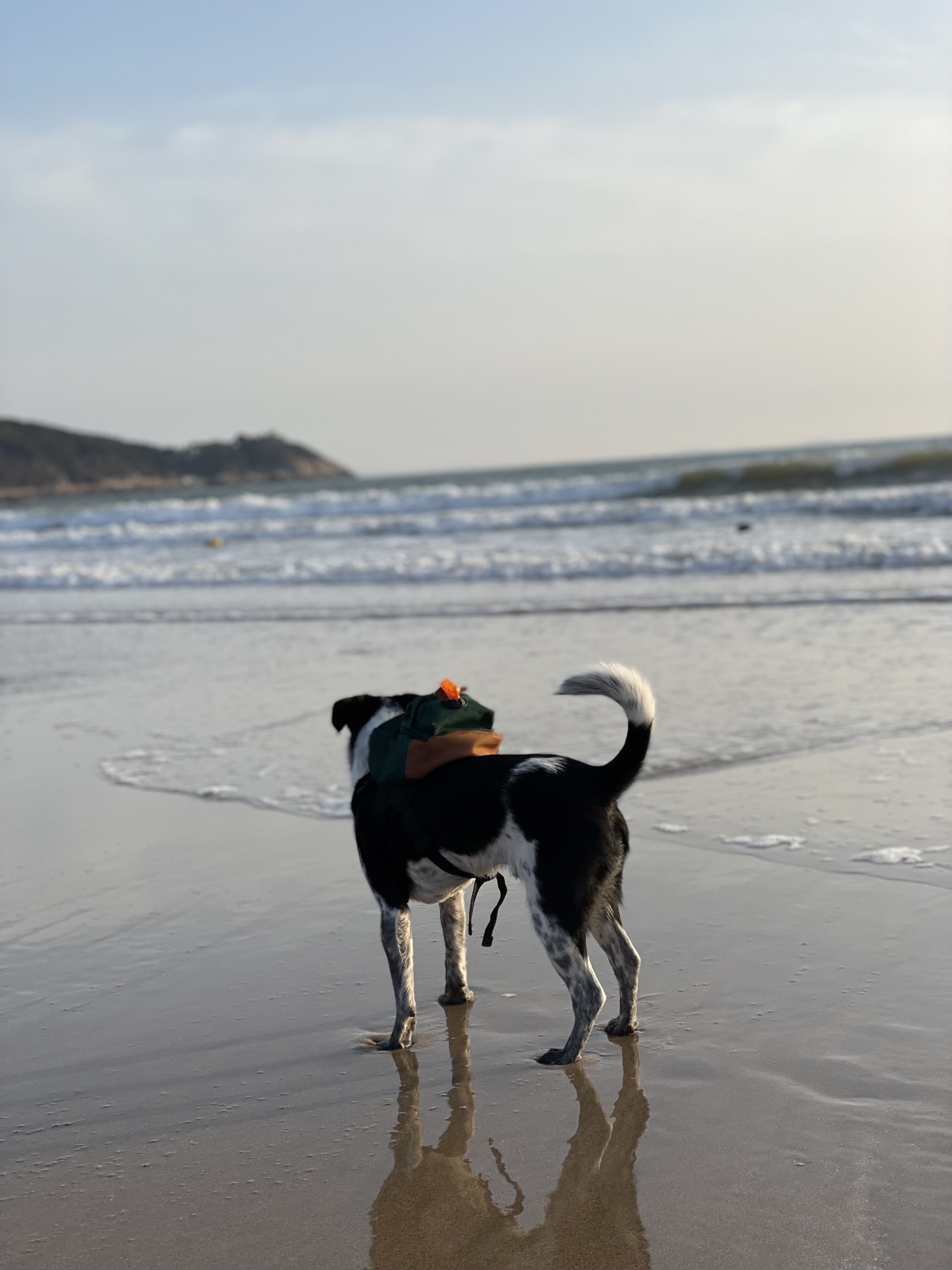 다림(다니) 1주년