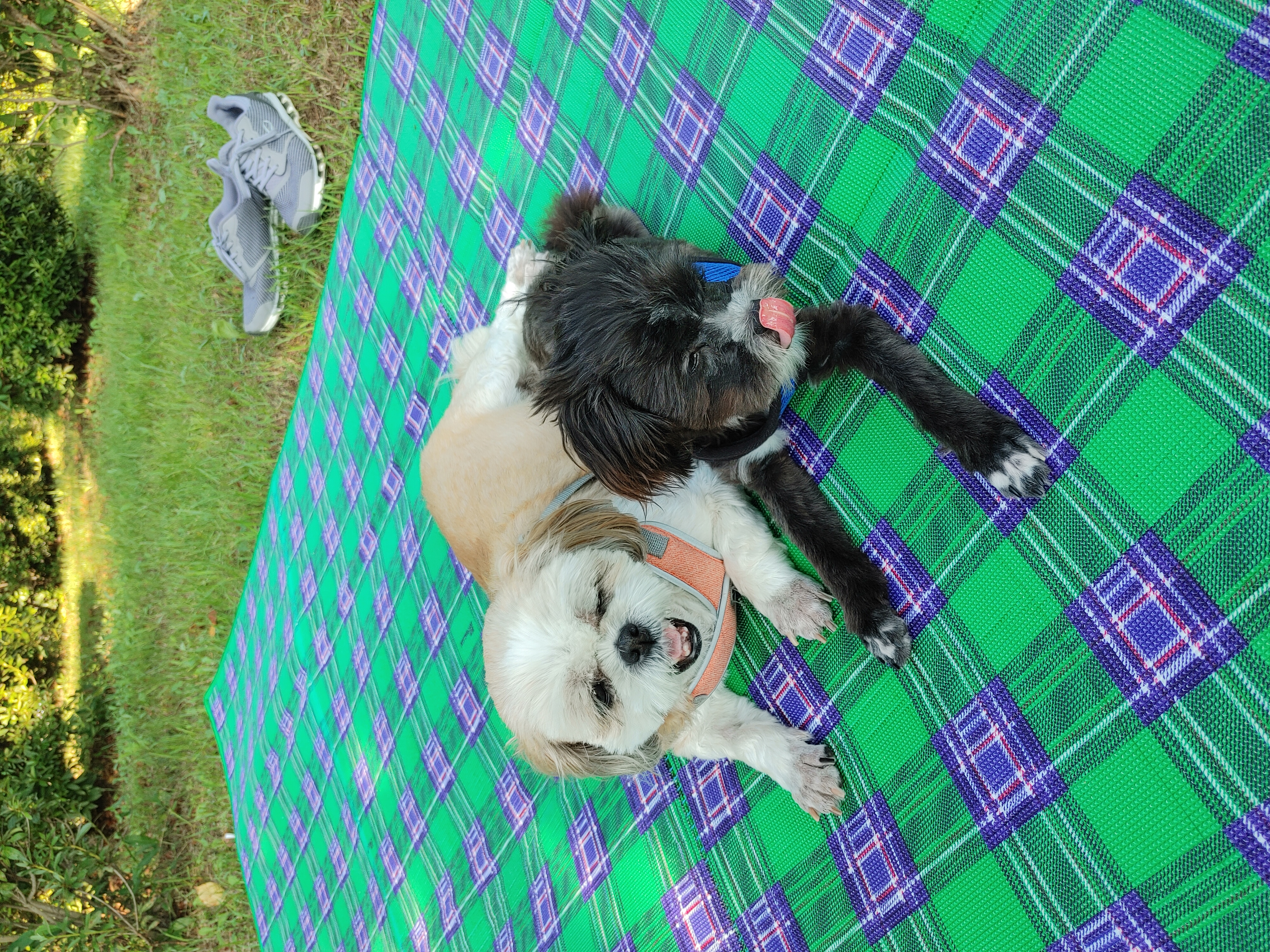 깡이(타타)와 승이(탱숙)