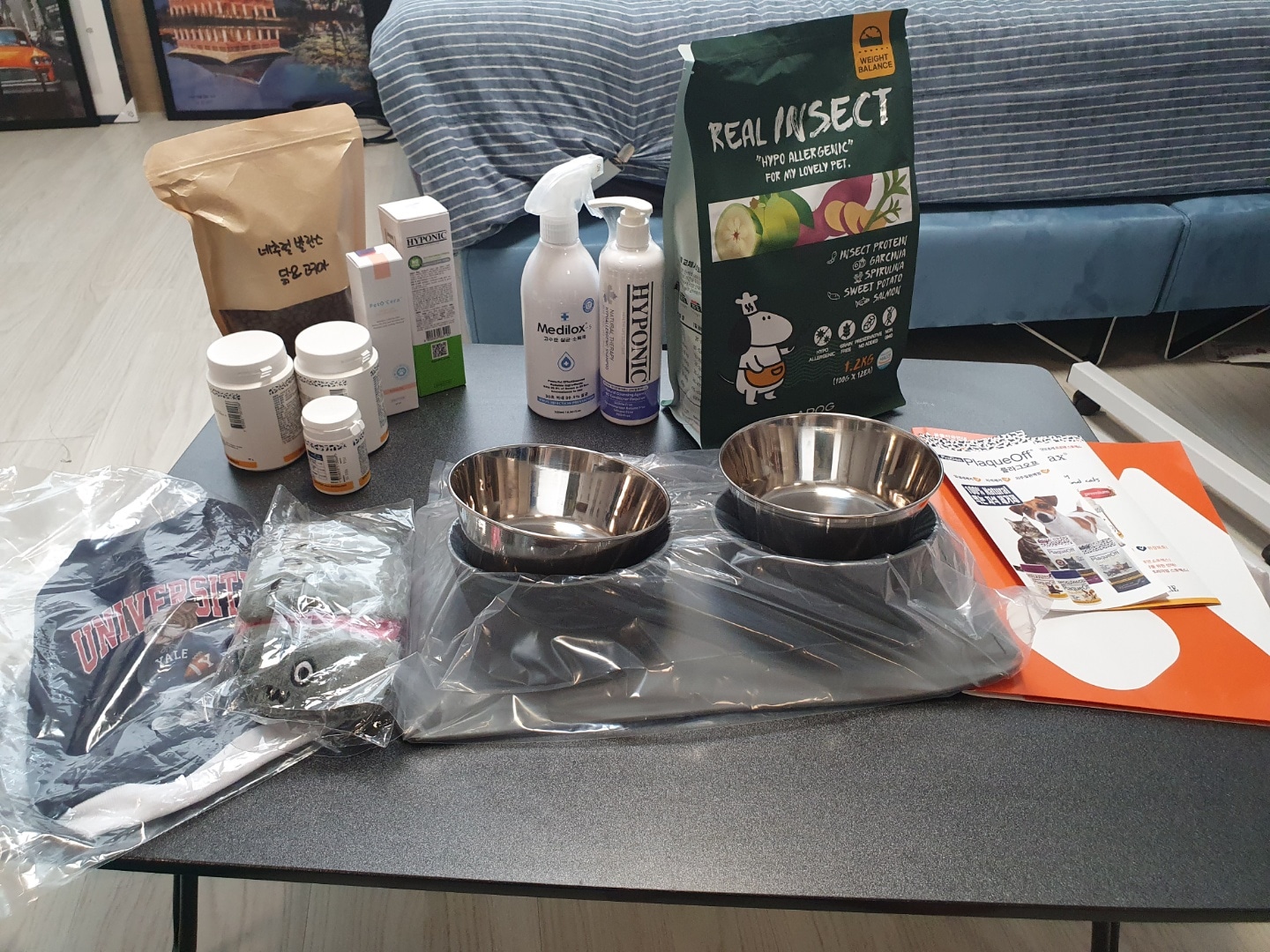 아산구조견 오슬이