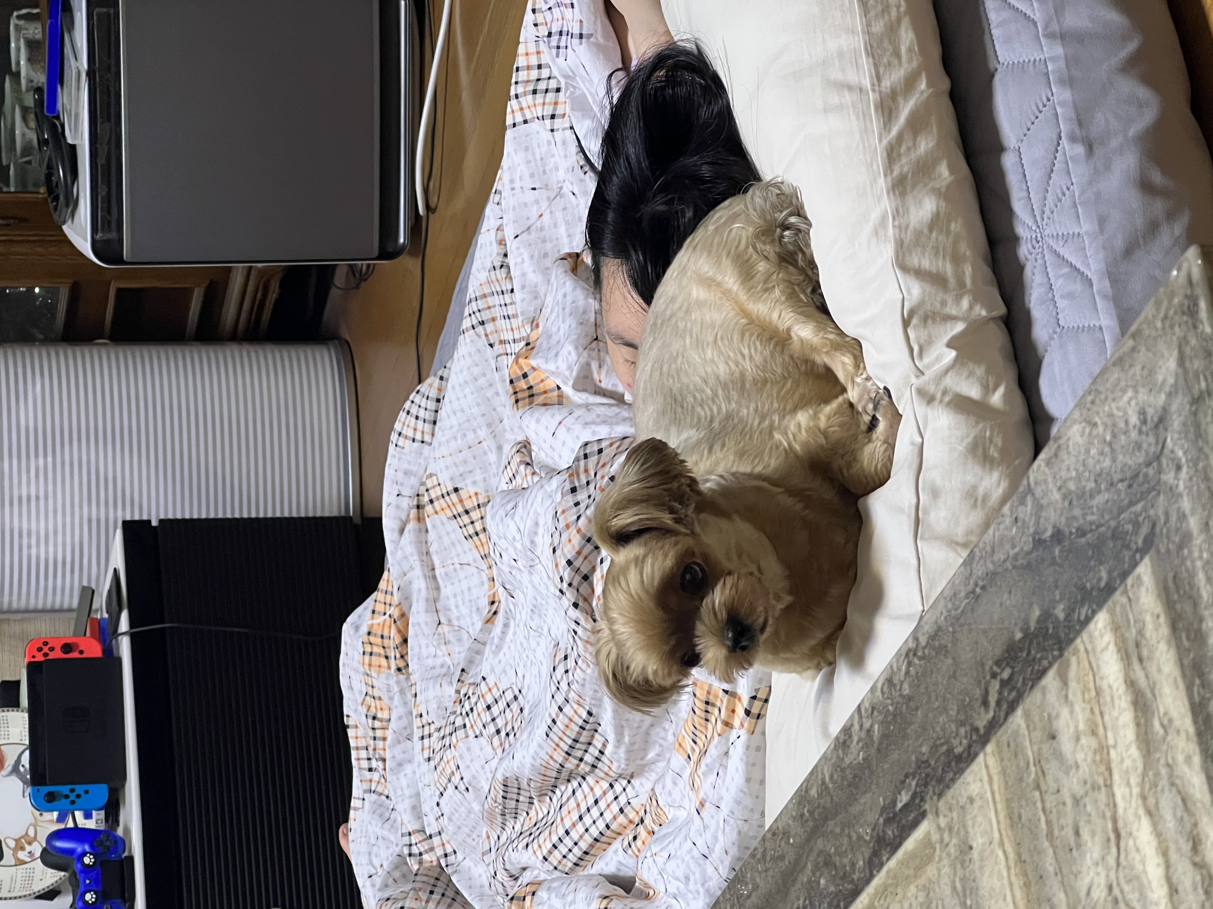 오랜만에 새별이 인사해요