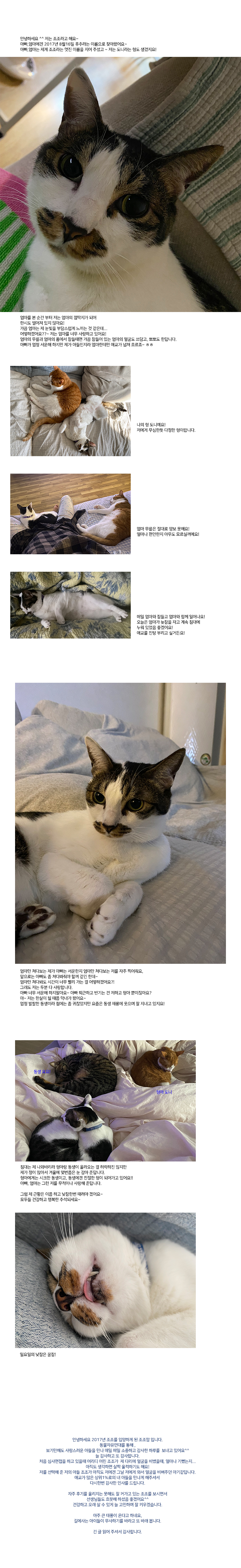 오랜만에 인사드려요^^ 저 조조예요!!