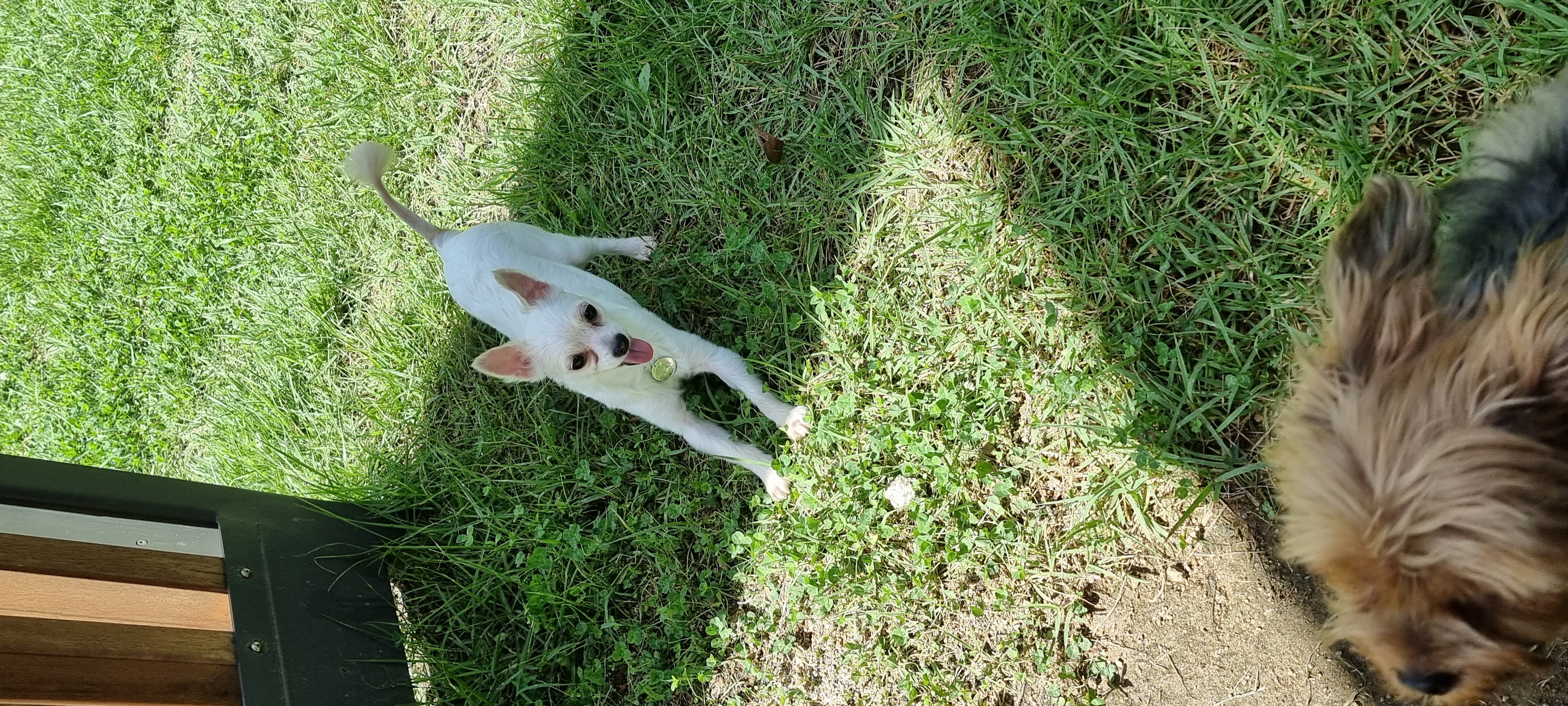 (올리) 한 달 됐어요