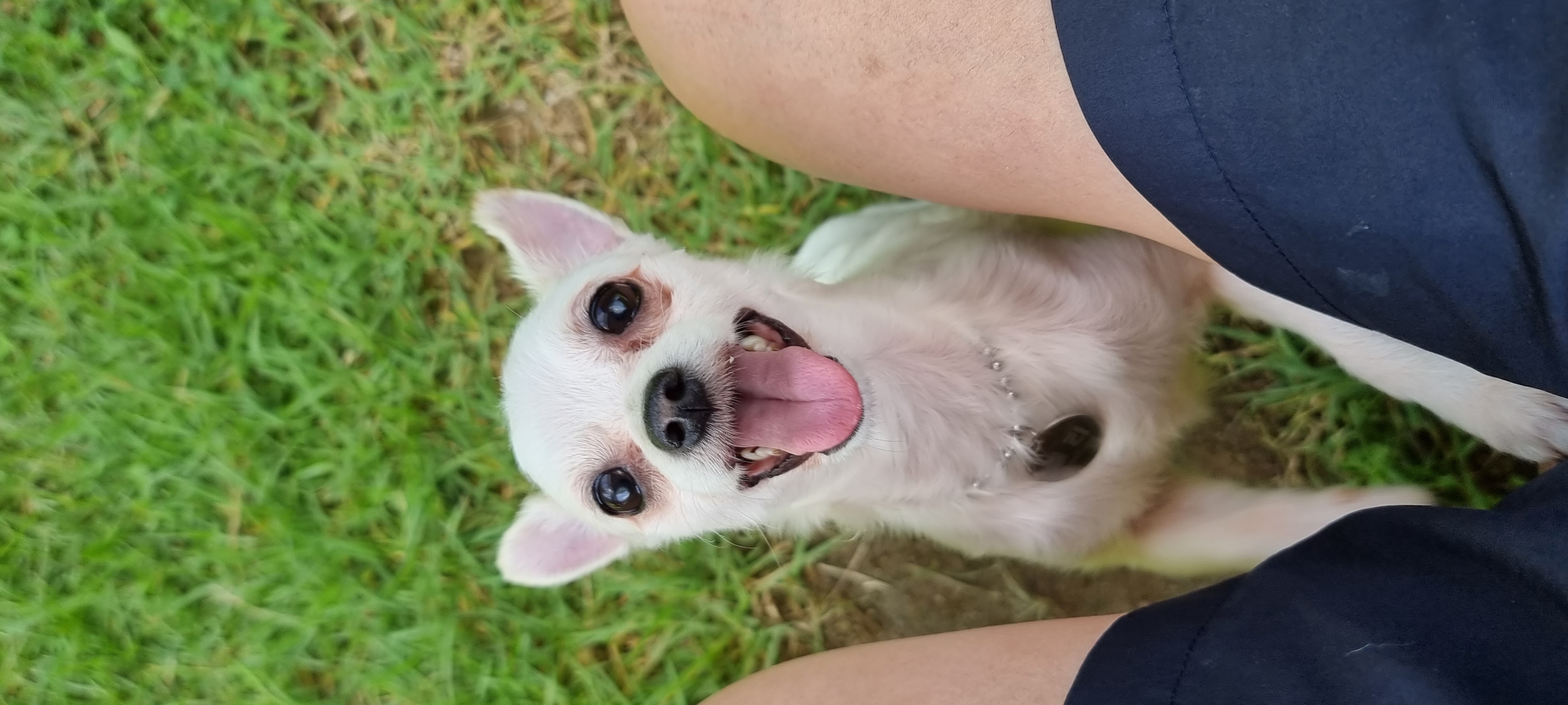 (올리) 한 달 됐어요