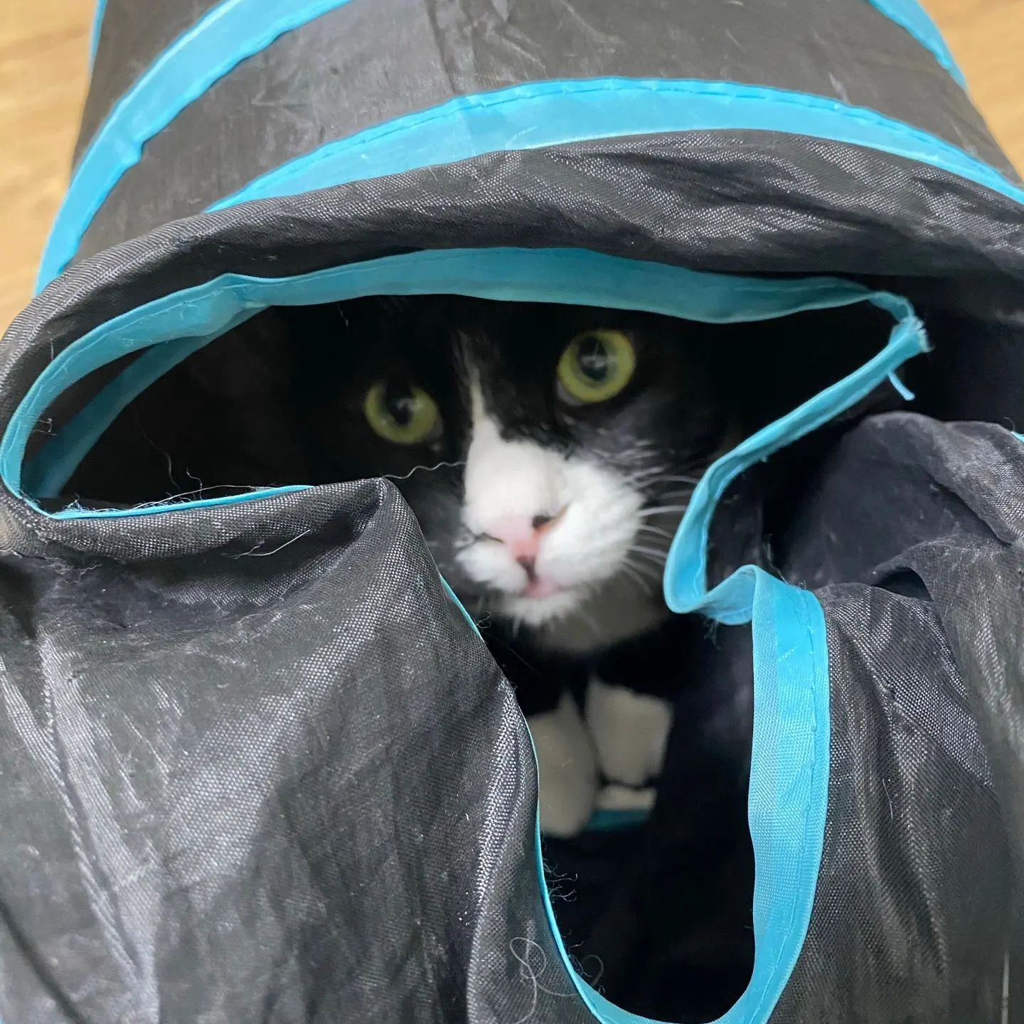 레오(이루)와의 3개월