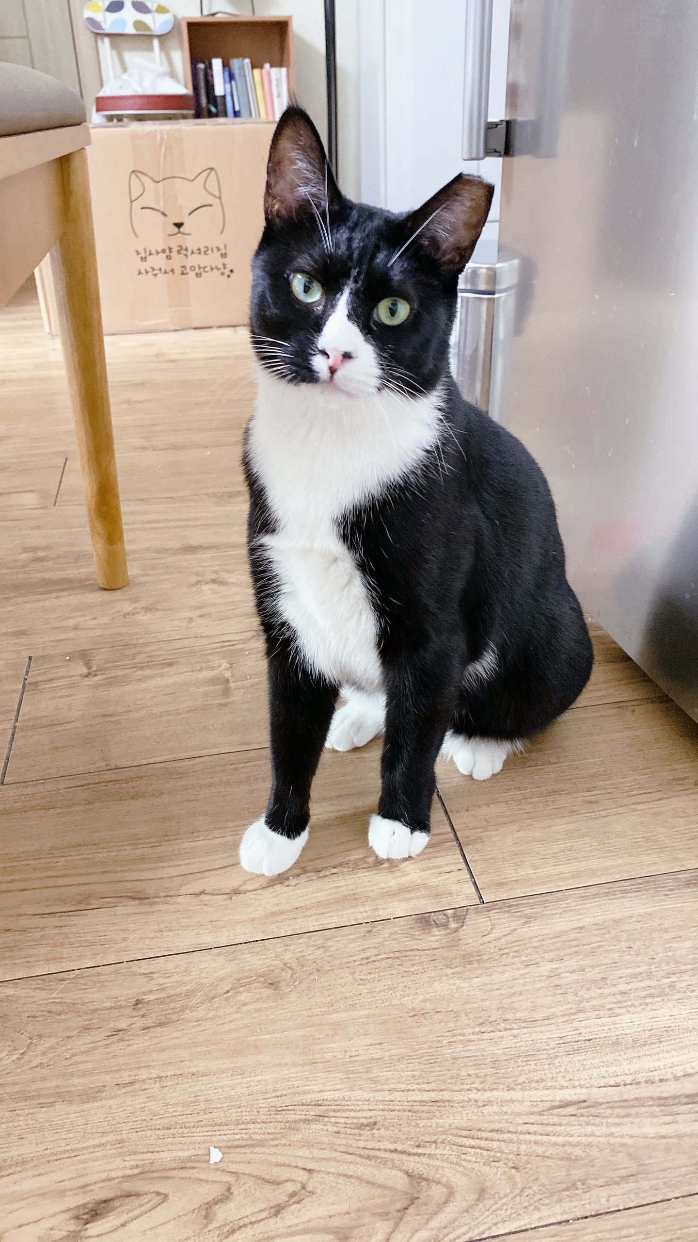 레오(이루)와의 3개월