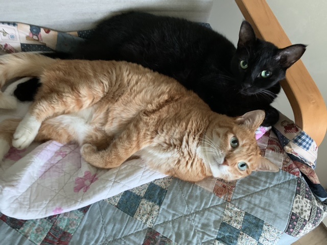 잠시 쉬었다 가실게요