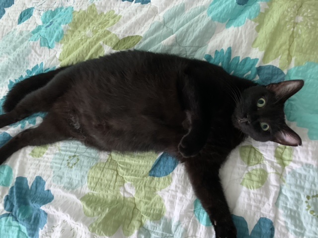 잠시 쉬었다 가실게요