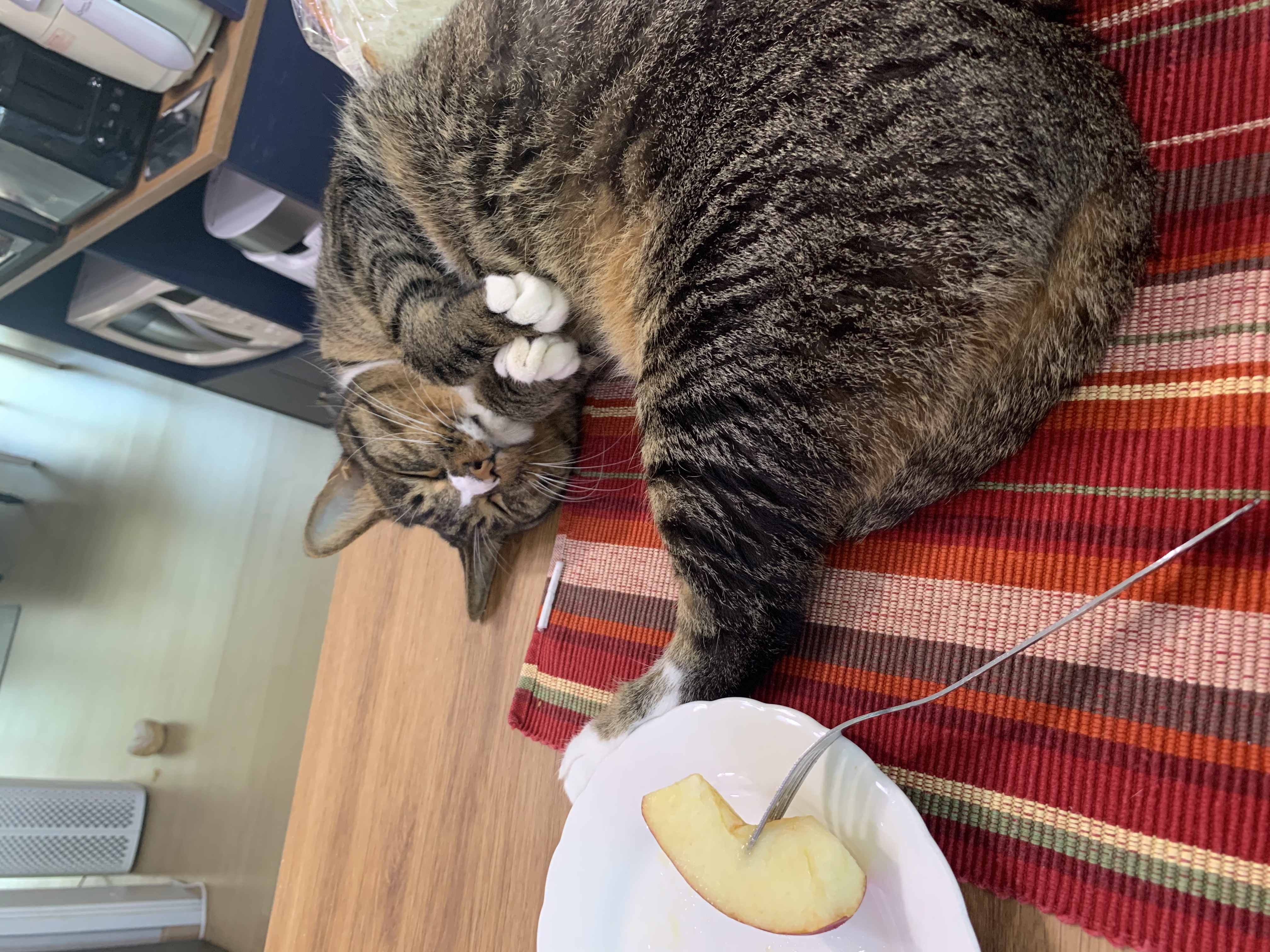 잠시 쉬었다 가실게요