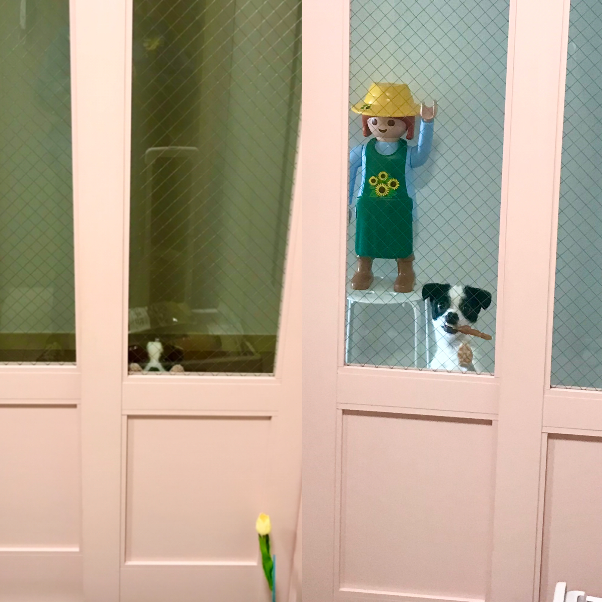 가을이(모뜨)와 1년~