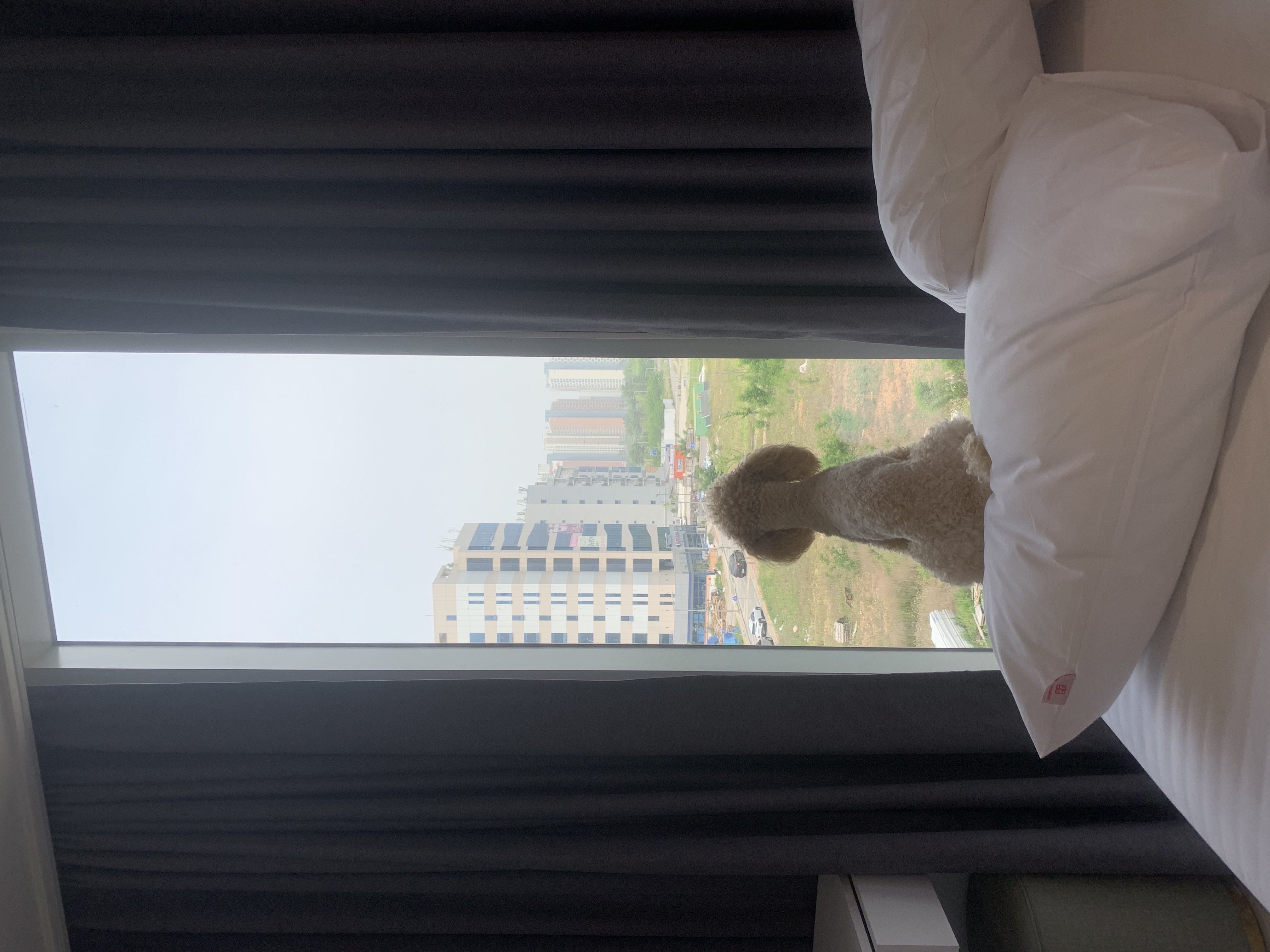 초이랑 1년6개월(곤지암-해삼)