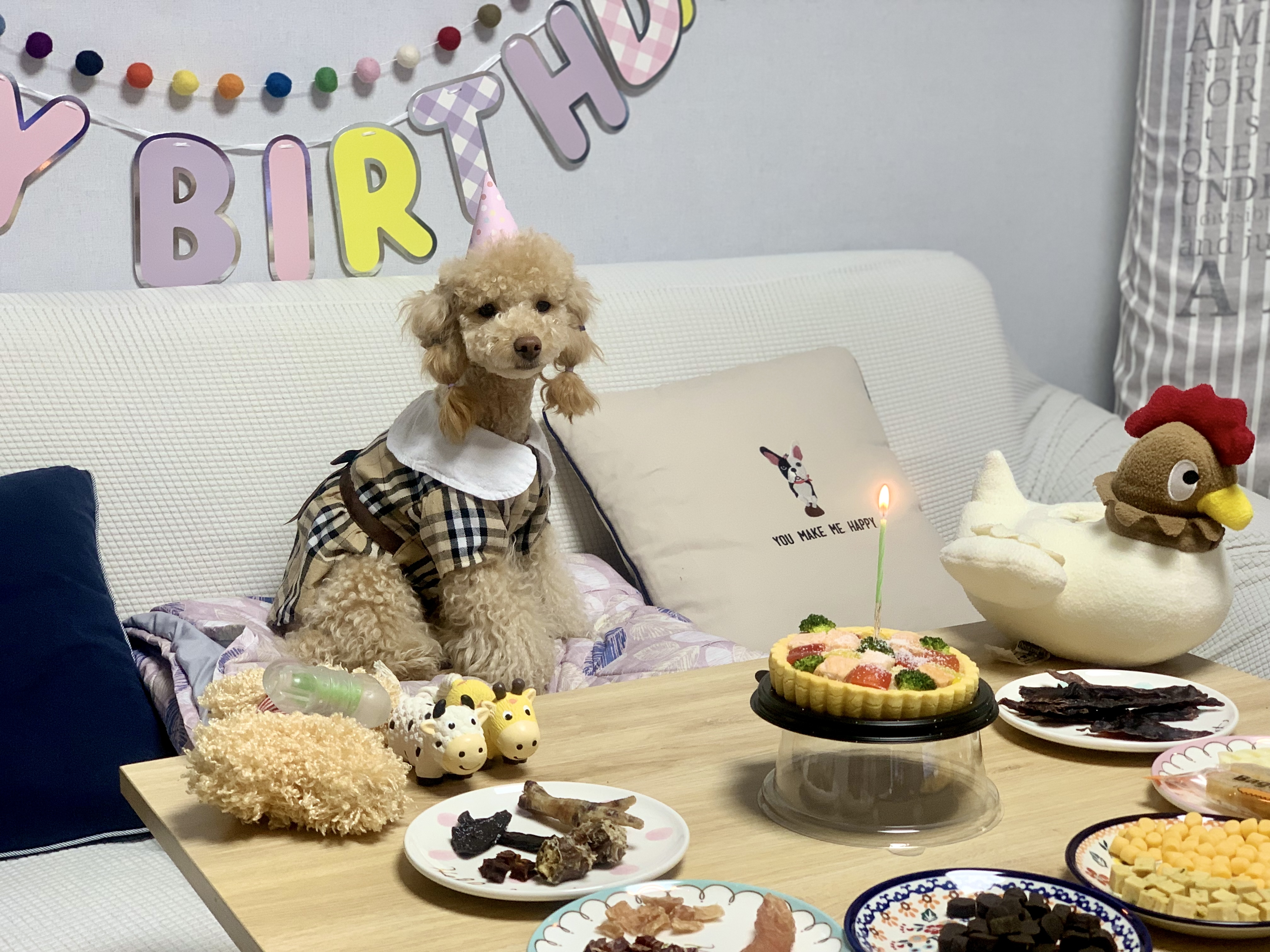 초이랑 1년6개월(곤지암-해삼)