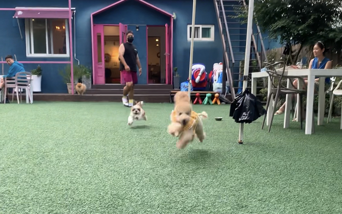 초이랑 1년6개월(곤지암-해삼)