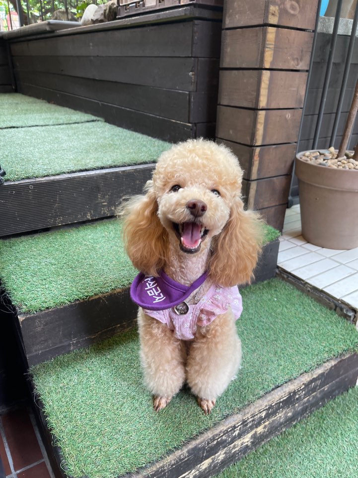 초이랑 1년6개월(곤지암-해삼)