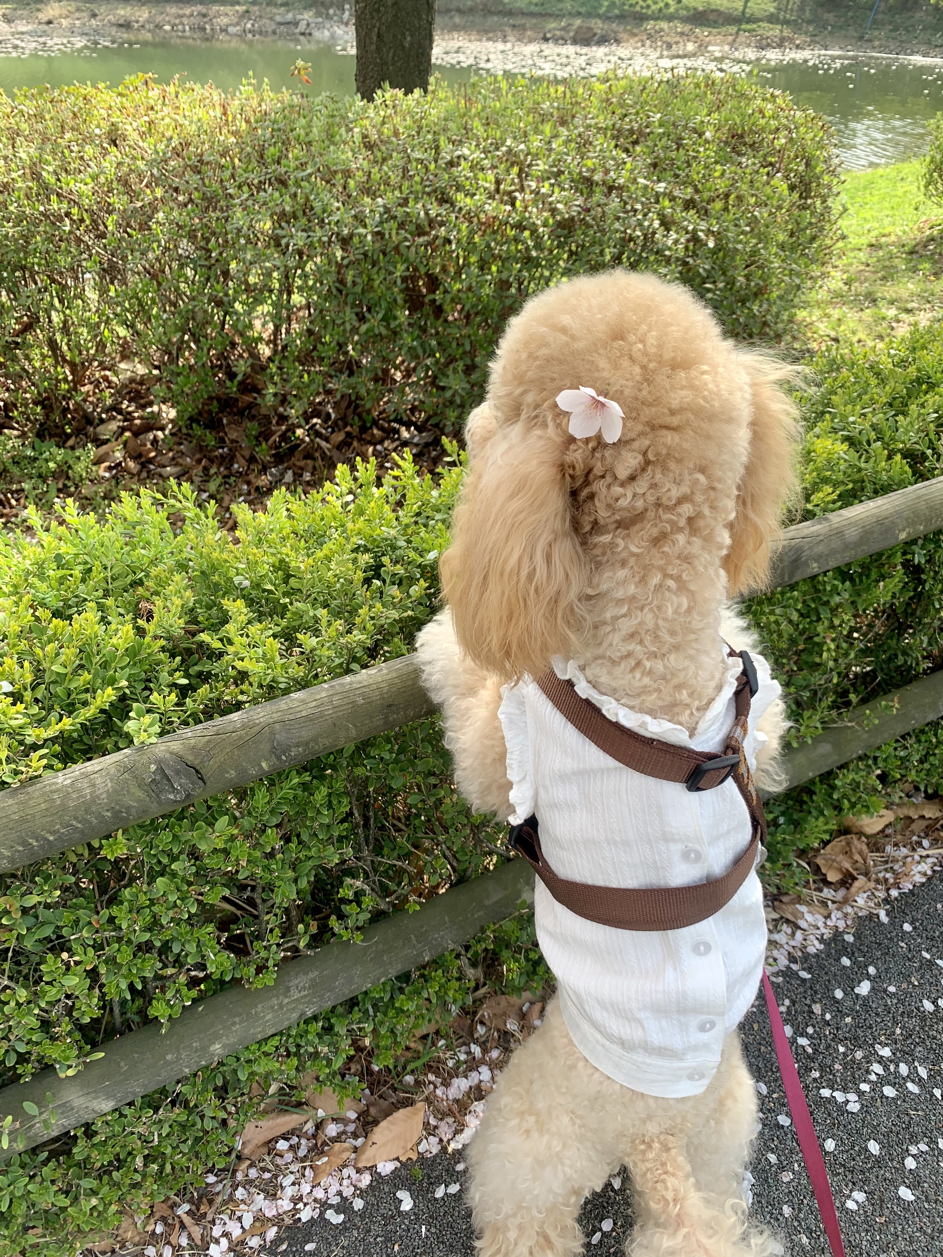 초이랑 1년6개월(곤지암-해삼)