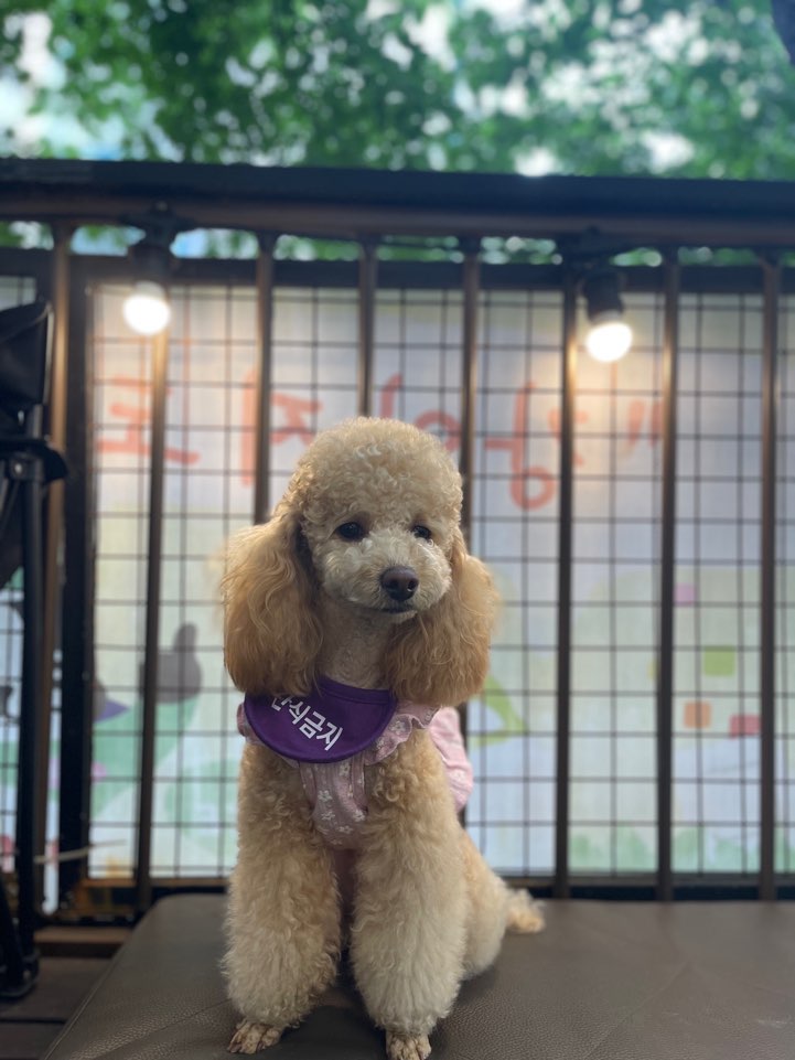 초이랑 1년6개월(곤지암-해삼)