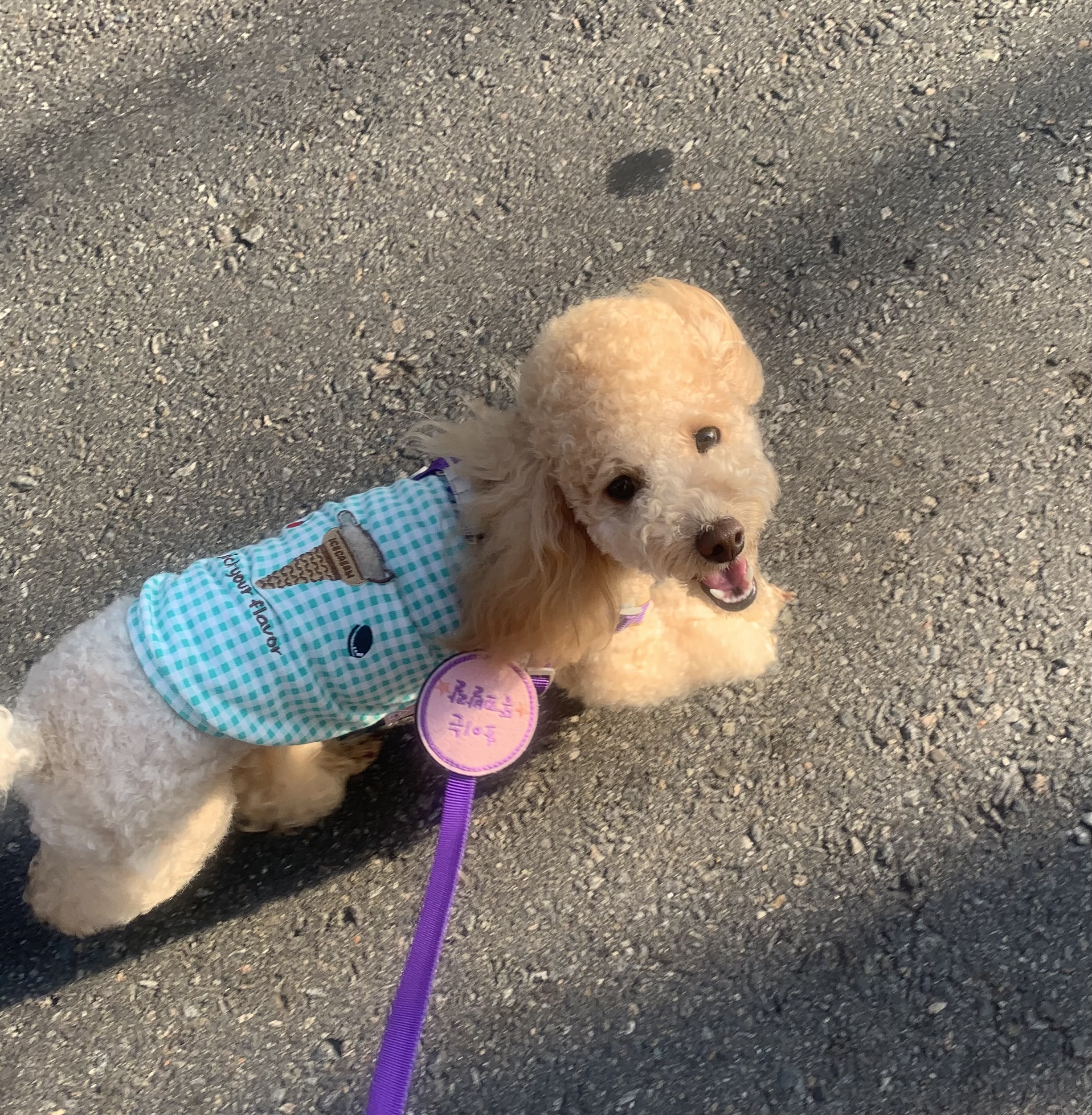 초이랑 1년6개월(곤지암-해삼)