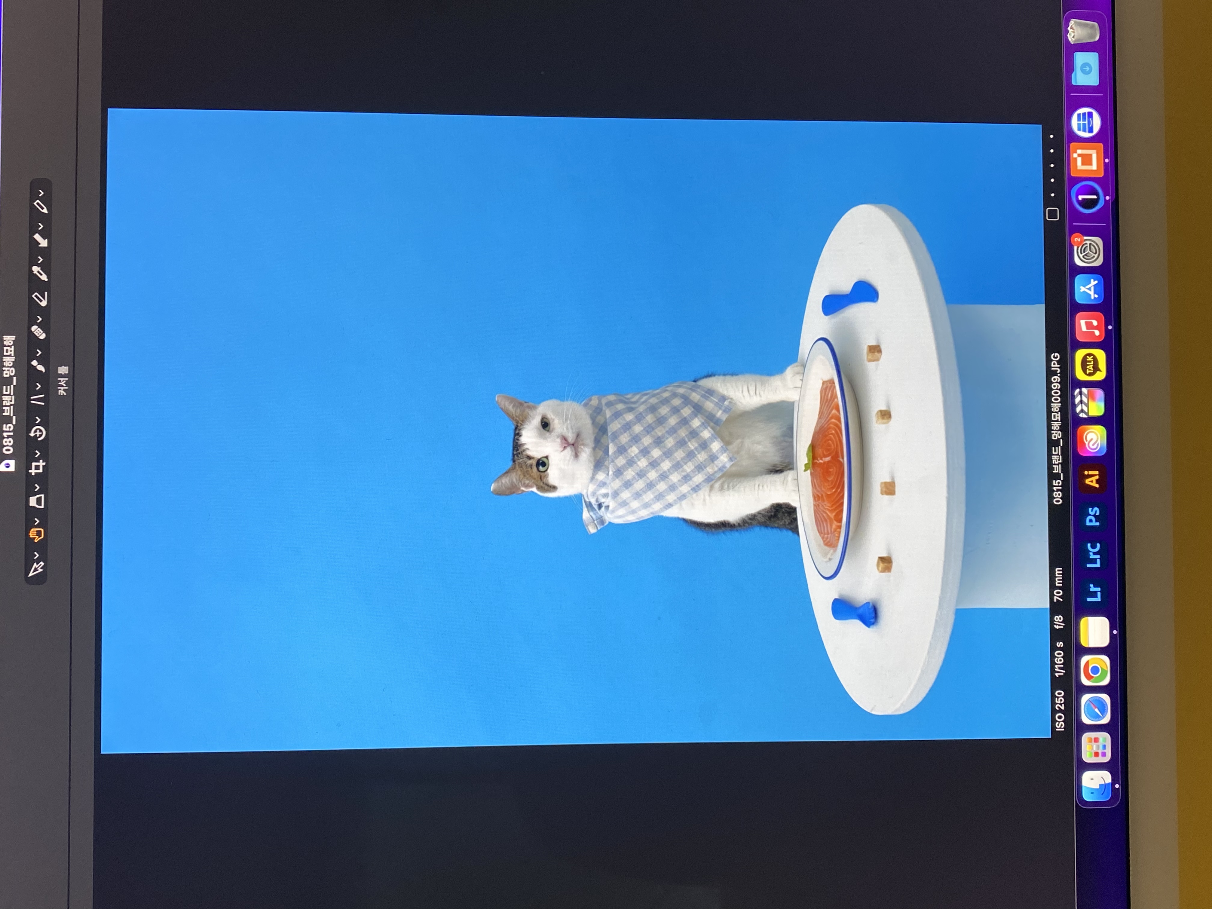 서창이의 입양일지1