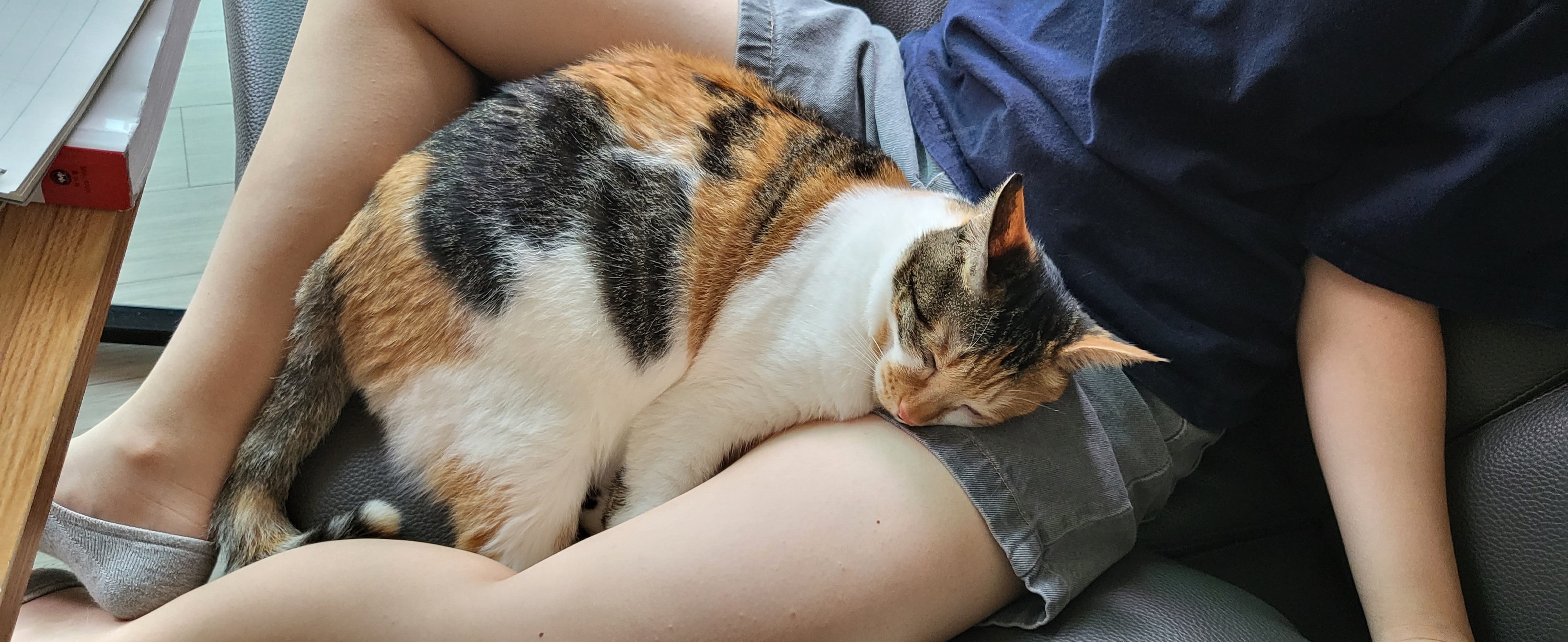 경축 뽀얌이 2주년