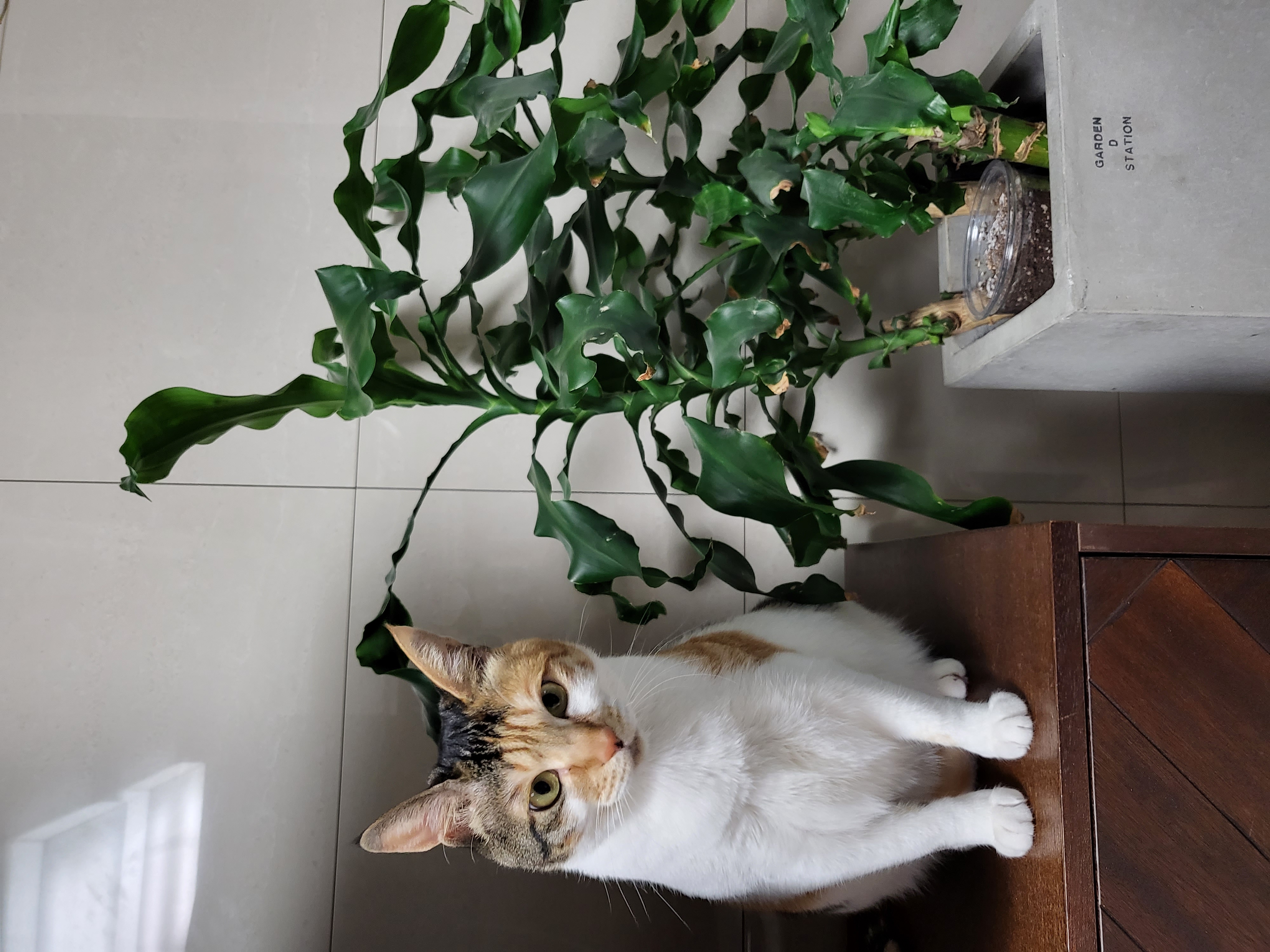 경축 뽀얌이 2주년