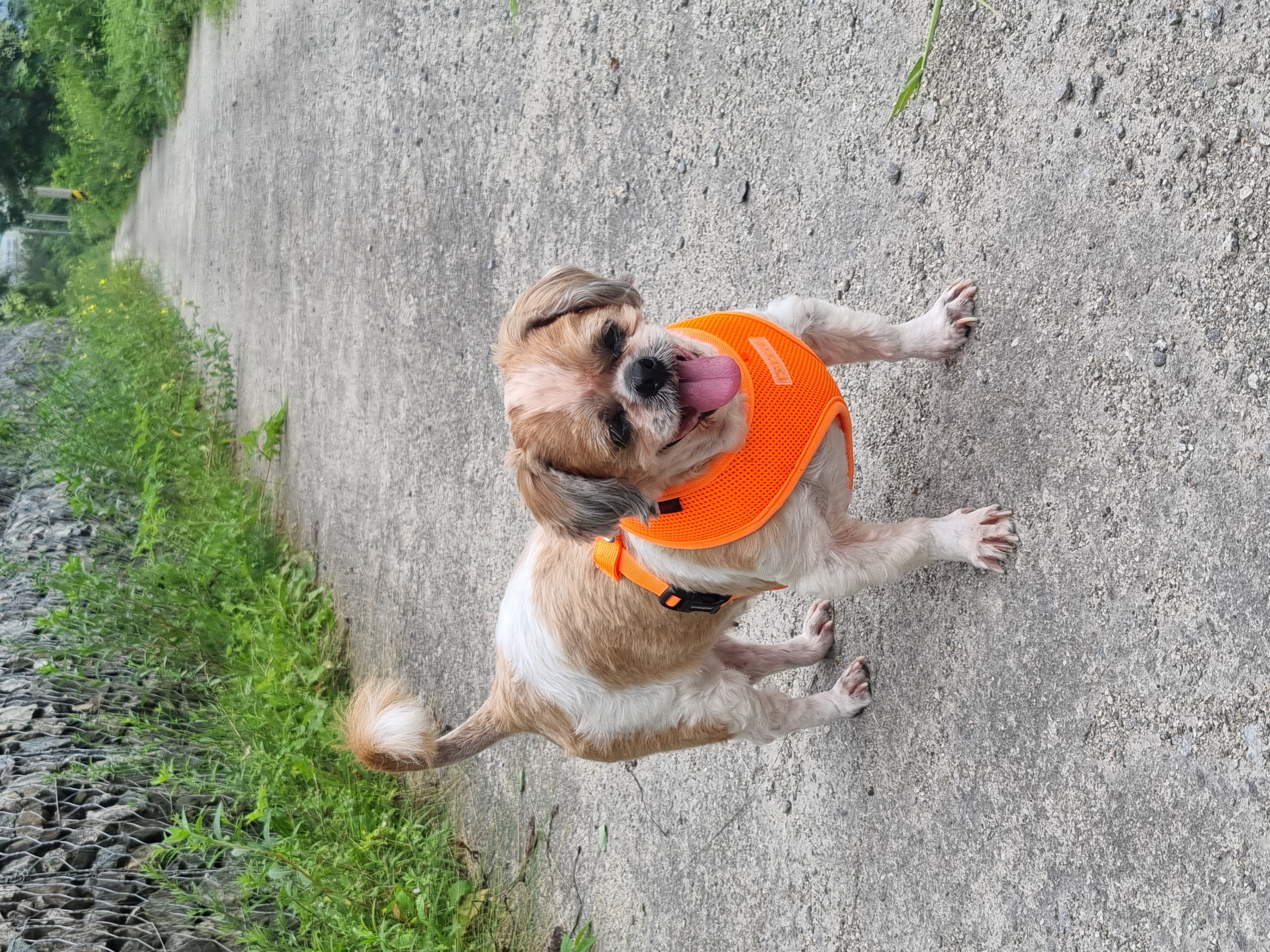 포동이의 꿈나라