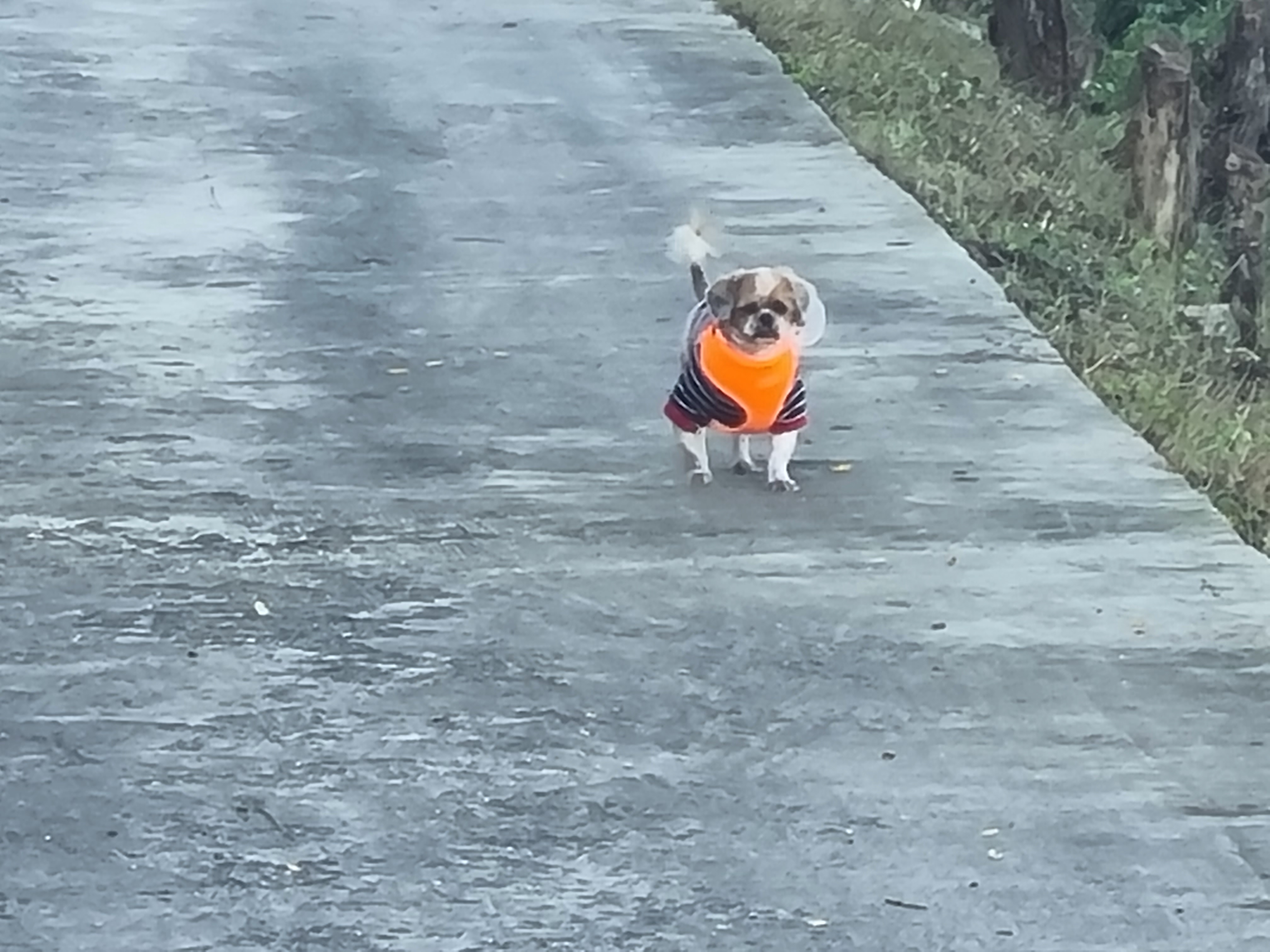 포동이의 꿈나라