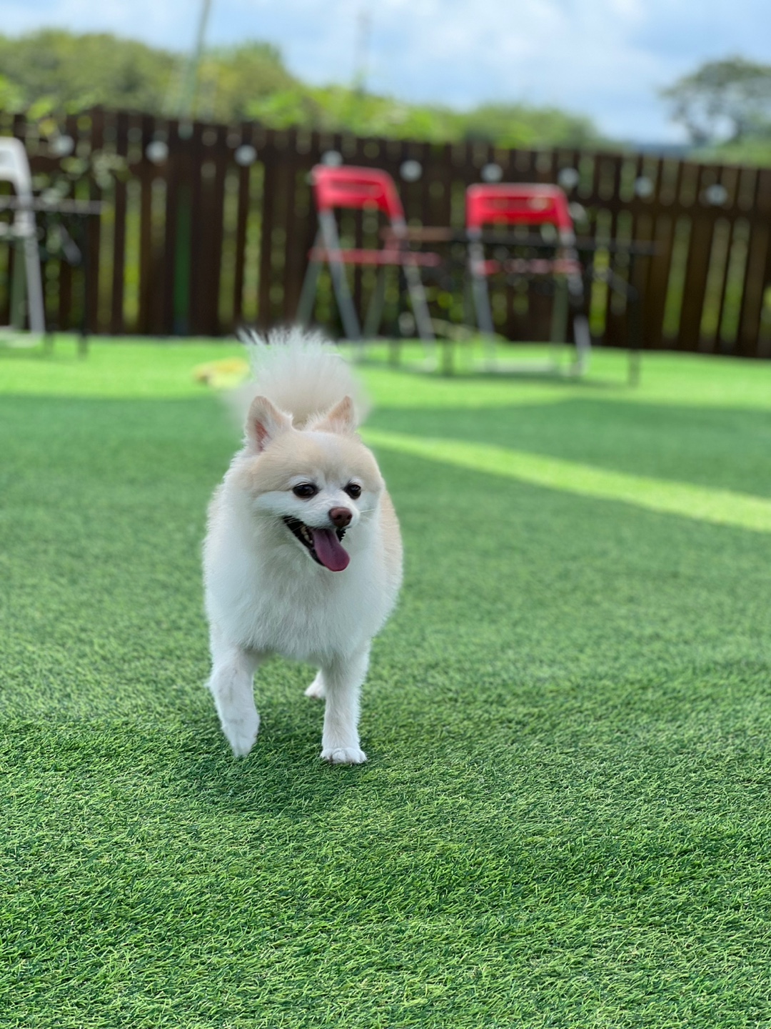 보배 오랜만에 인사드려용