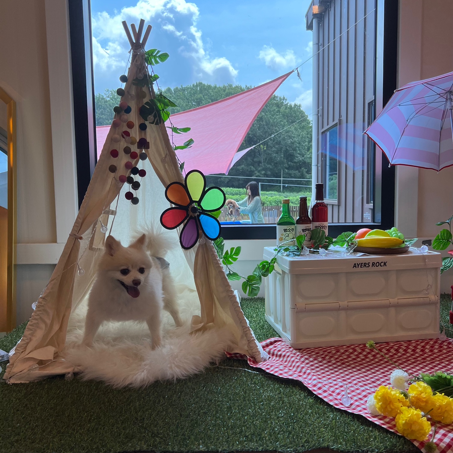 보배 오랜만에 인사드려용