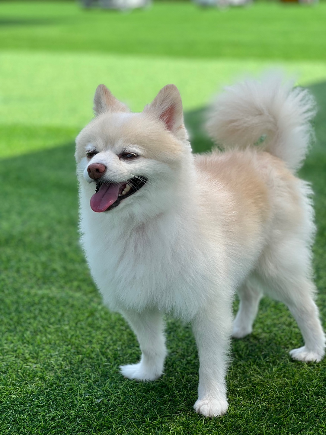 보배 오랜만에 인사드려용