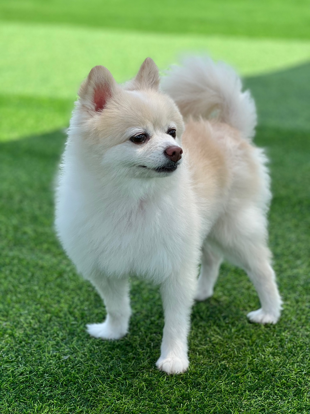 보배 오랜만에 인사드려용