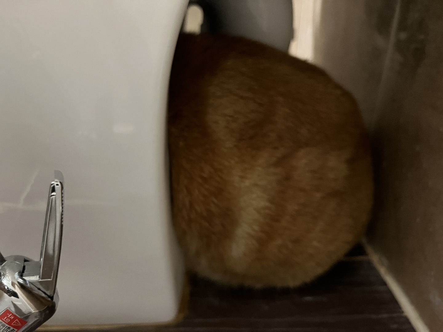 용식이 일주일차