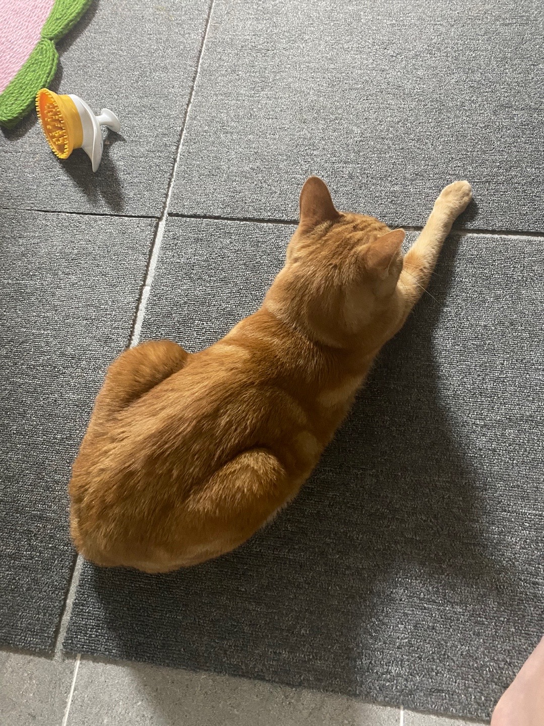 용식이 일주일차