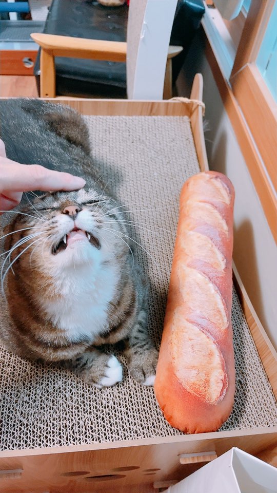 비누가 좋아하는 것, 비누가 싫어하는 것