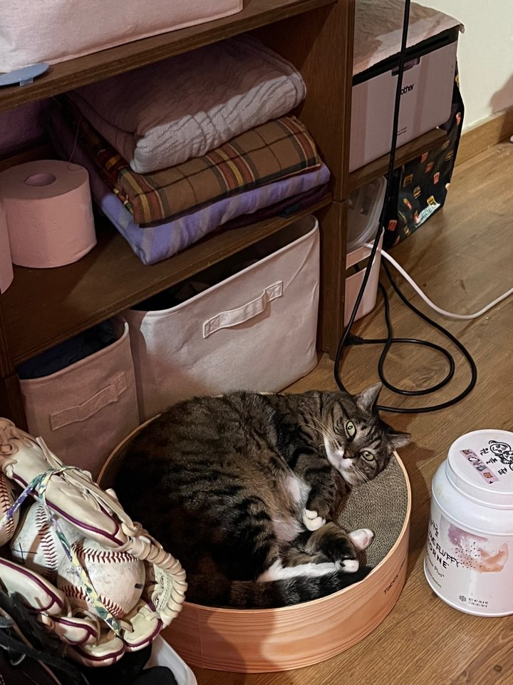 비누가 좋아하는 것, 비누가 싫어하는 것